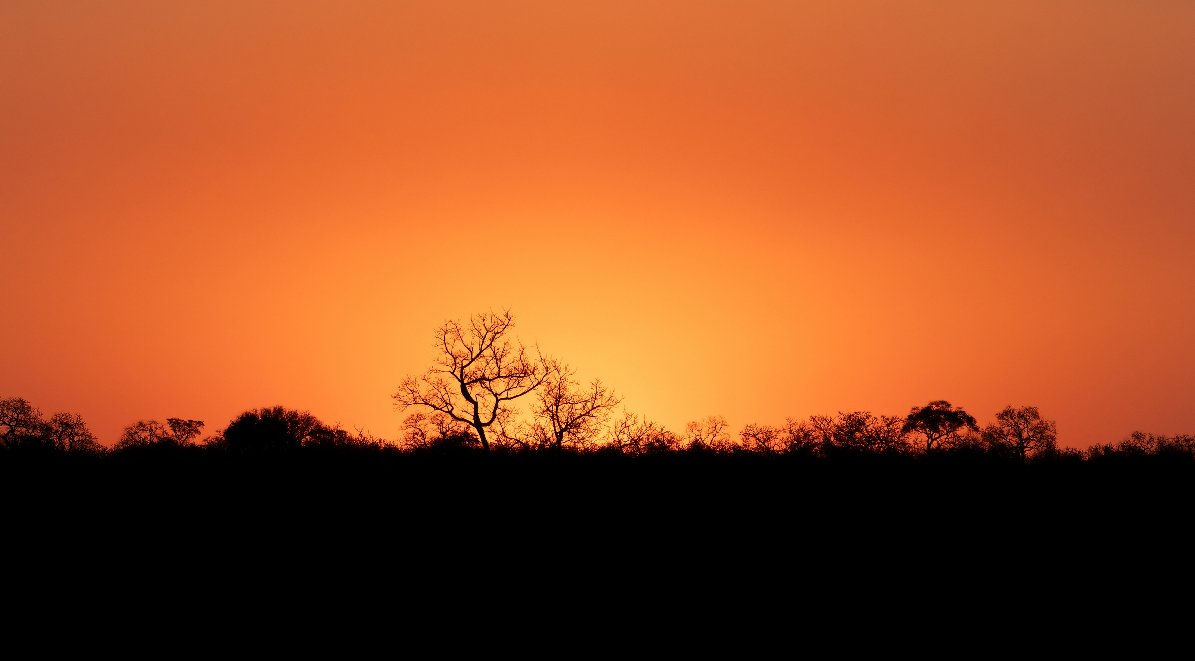 Djuma Sunset