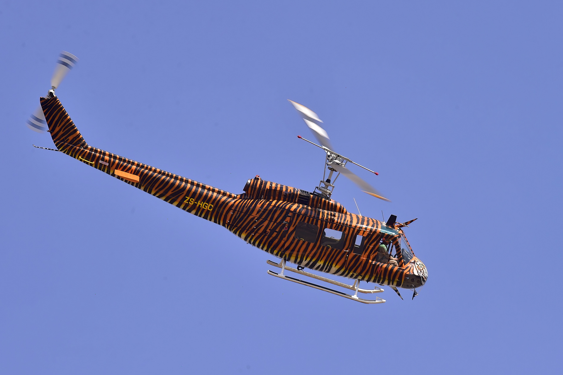 Hueys