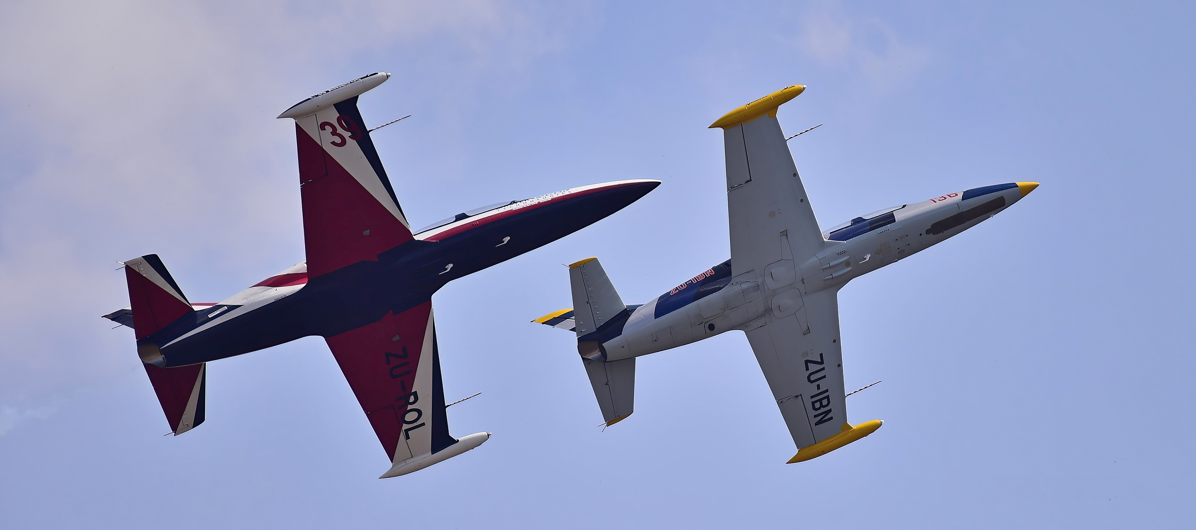 Albatros