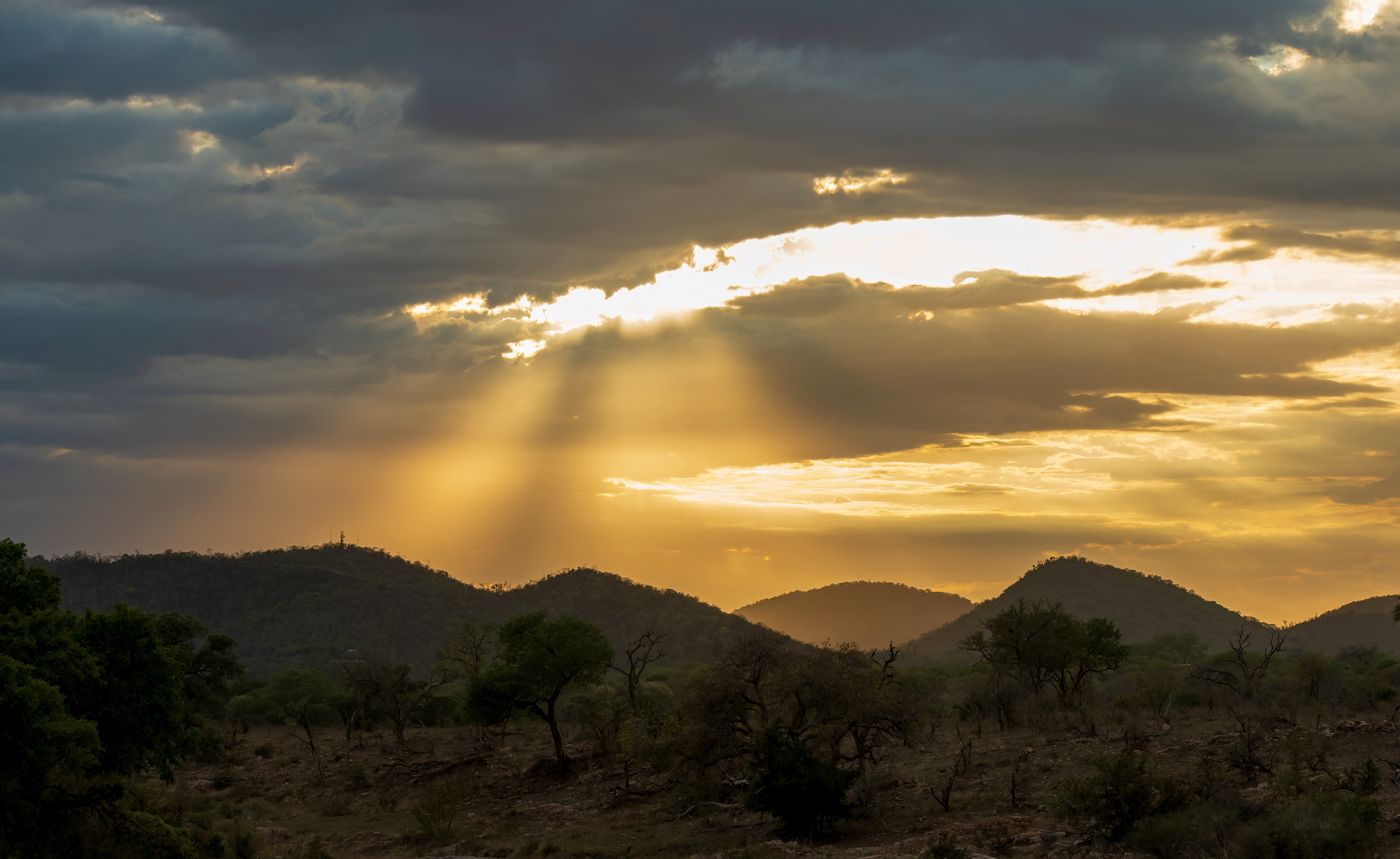 Kruger Sunrise