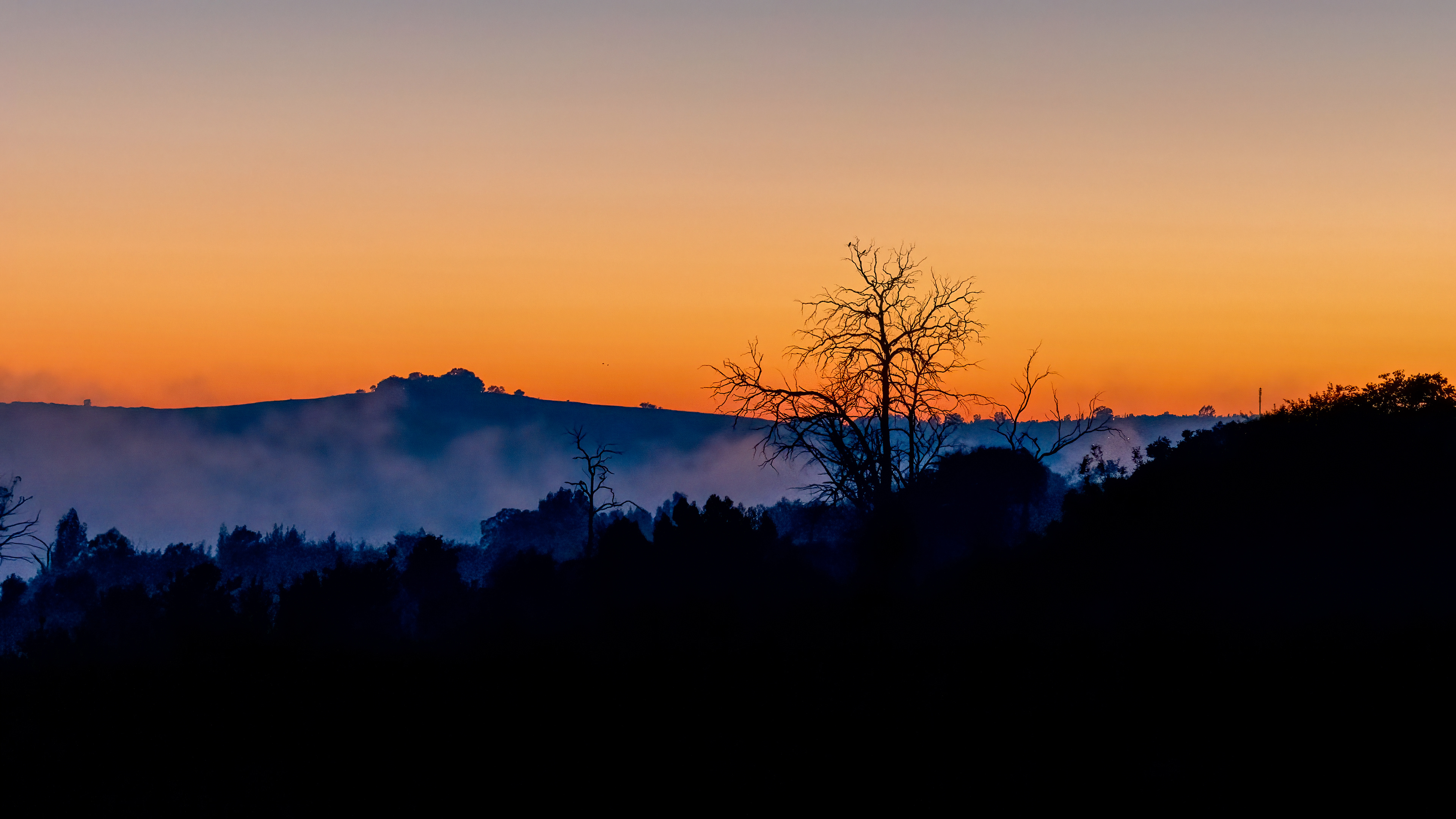 Rietvlei Sunrise