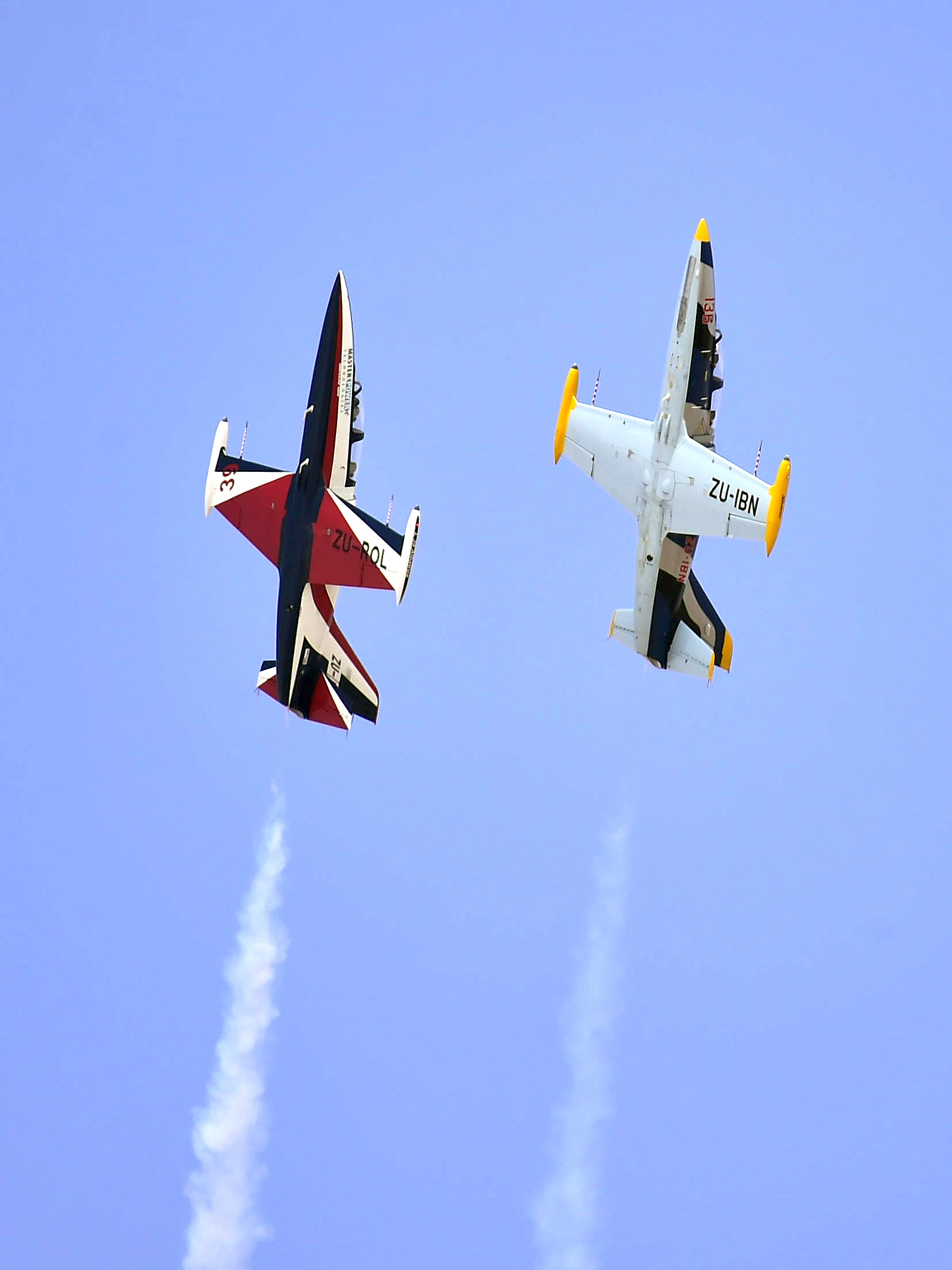 Albatros