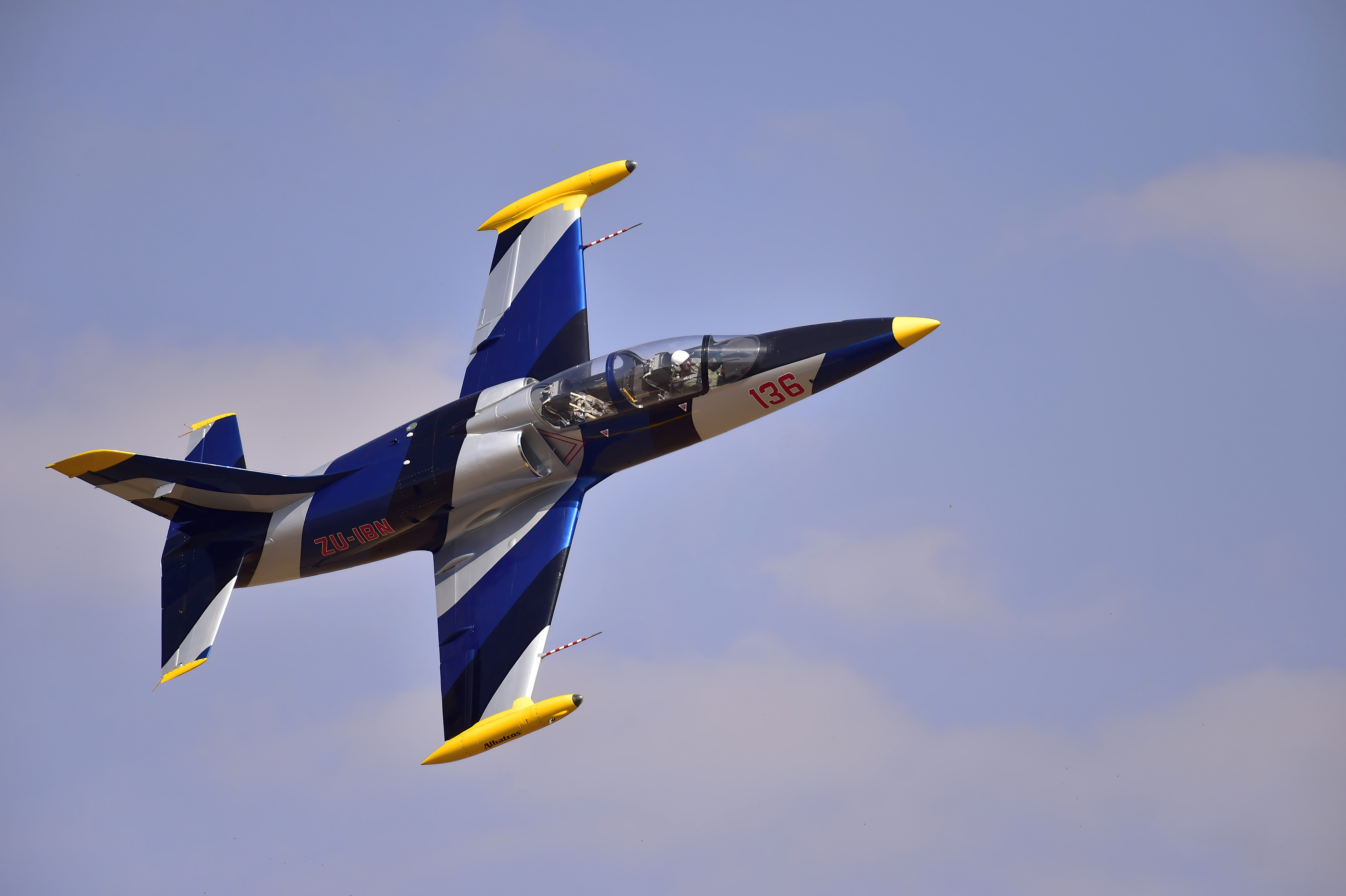 Albatros