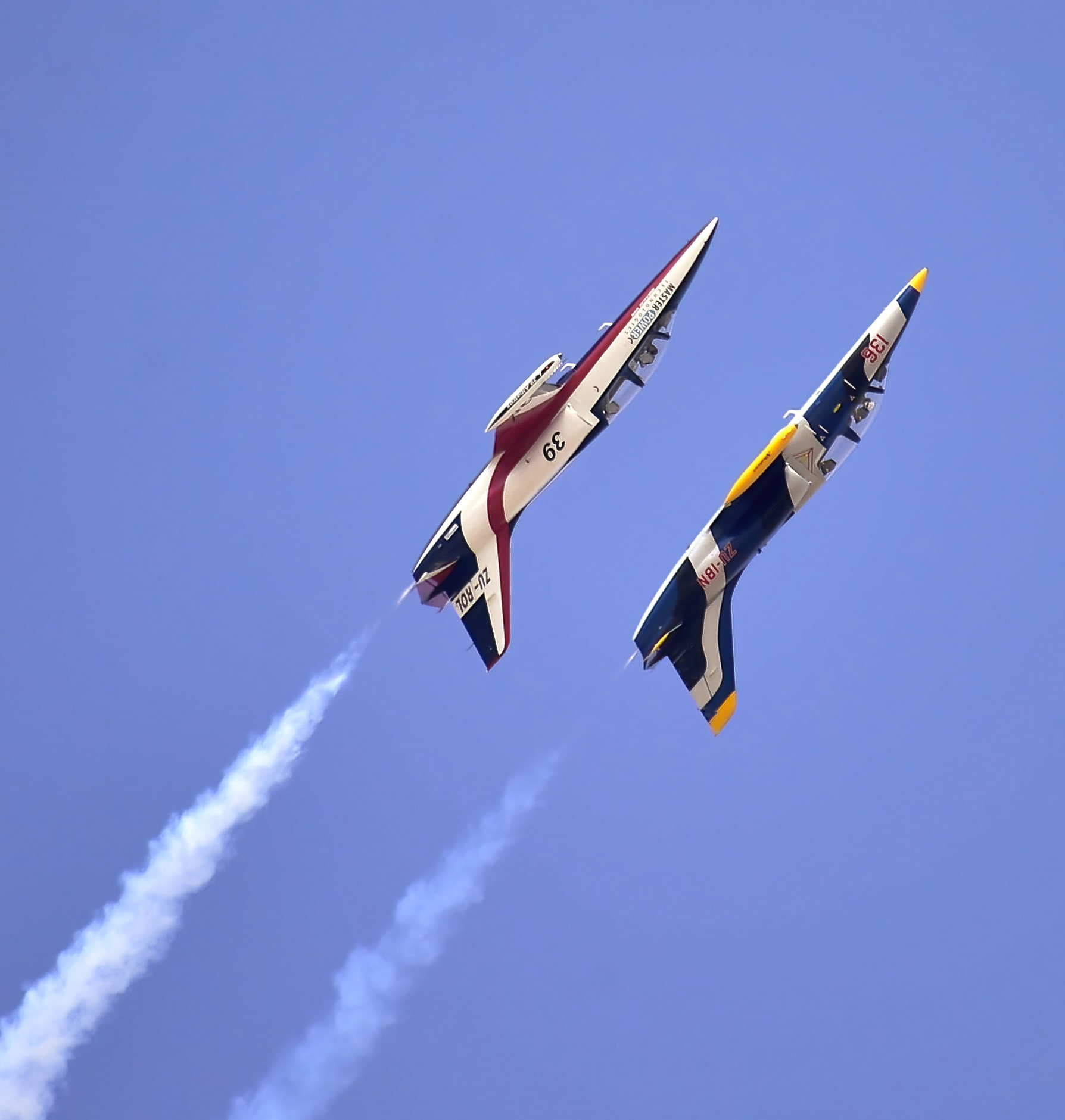 Albatros