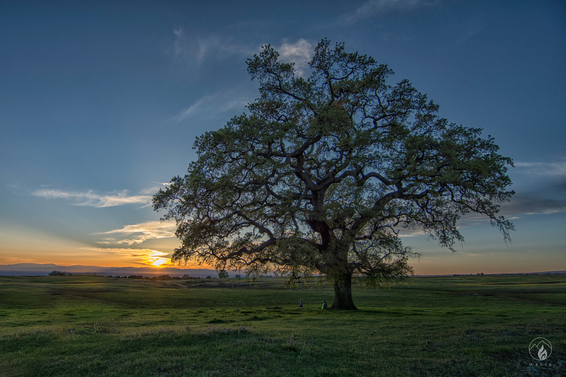 Table Mountain, Oroville Ca