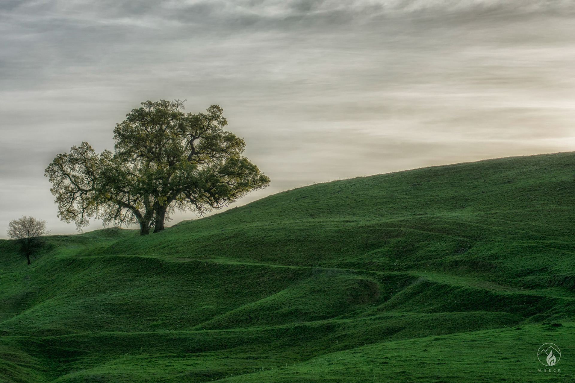 Millville, Ca