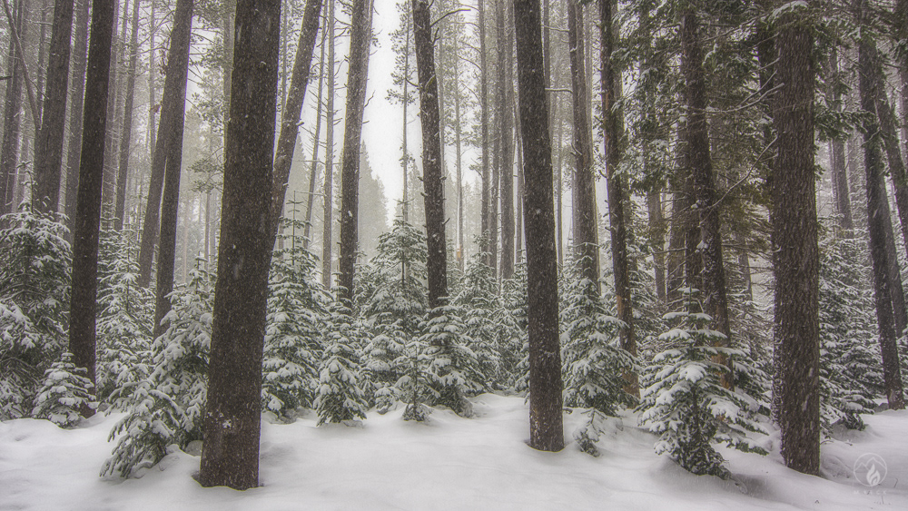 Winter in Truckee, Ca