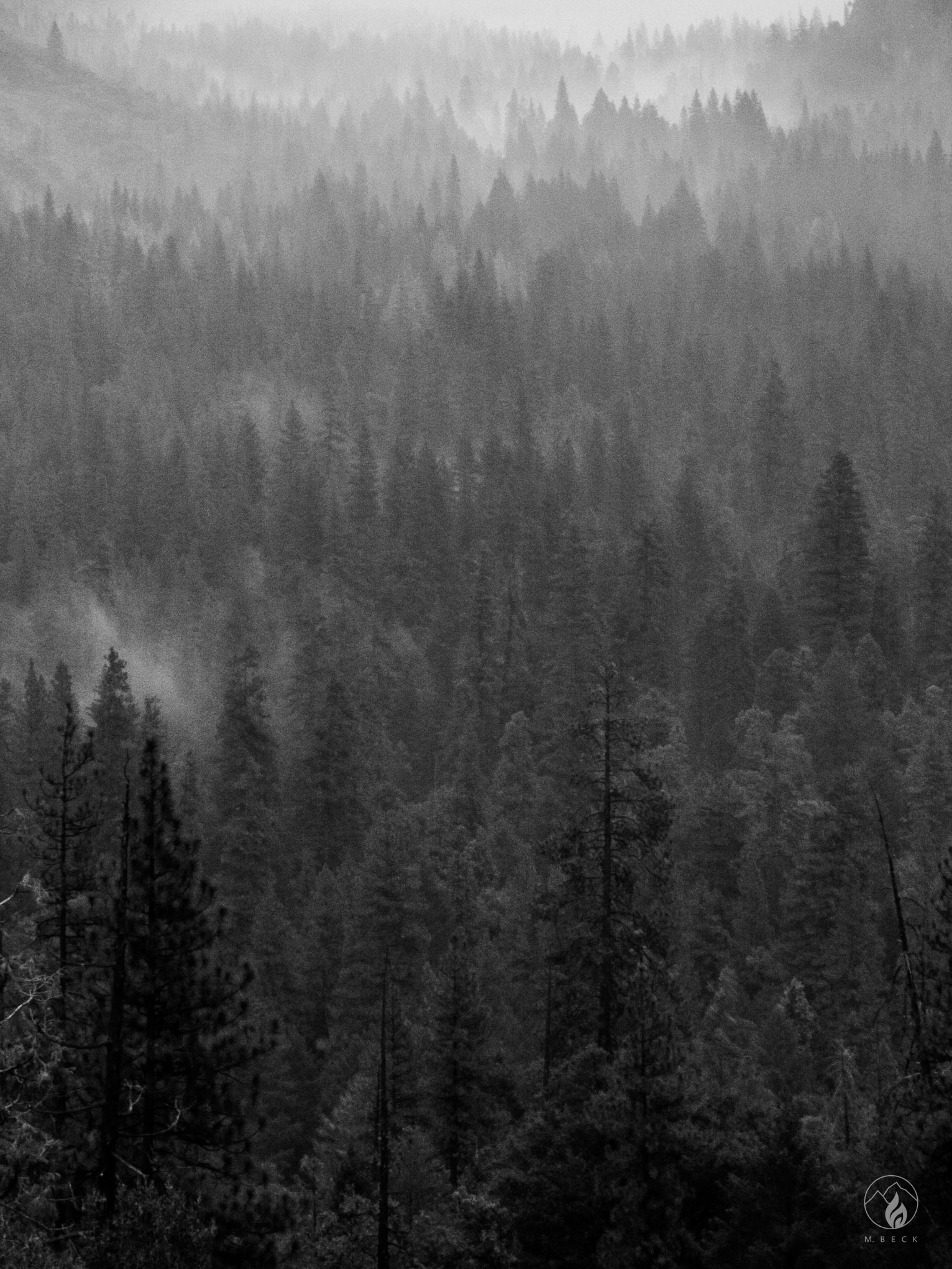 Yosemite Valley