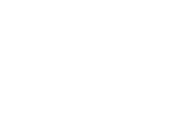 THE SECRETS
