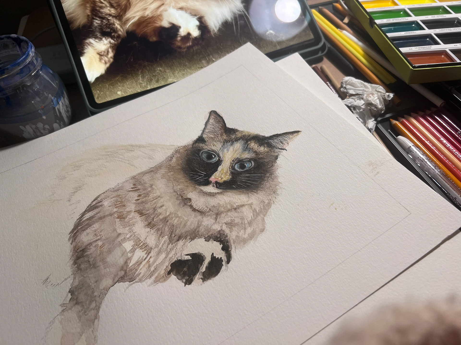 In Process Painting of my Sister's Cat, Beans