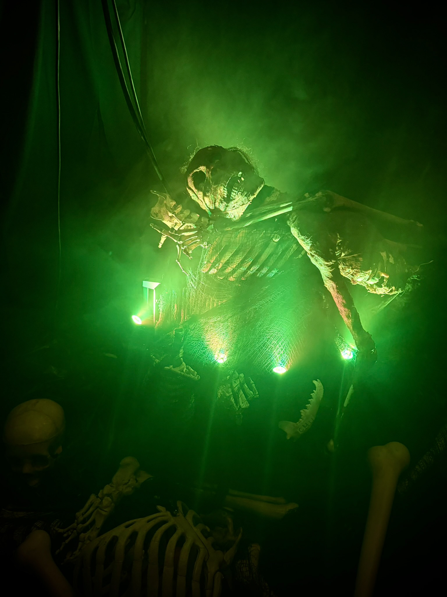 Center Room Bone Pile