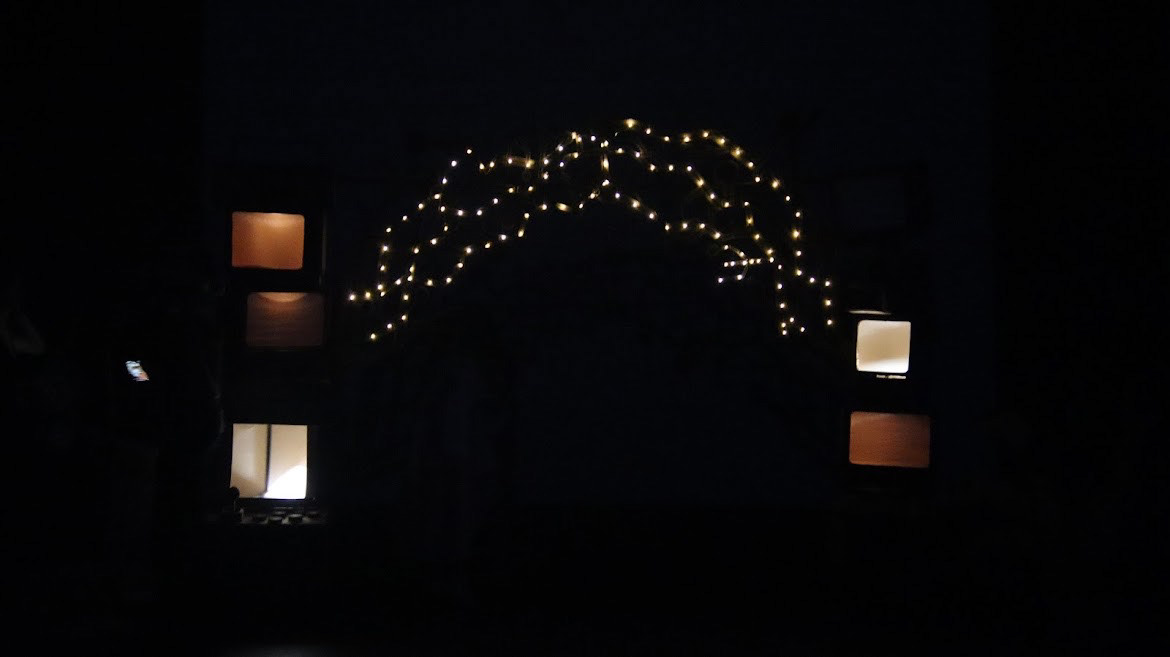 Photo Credit: El Wolhardt