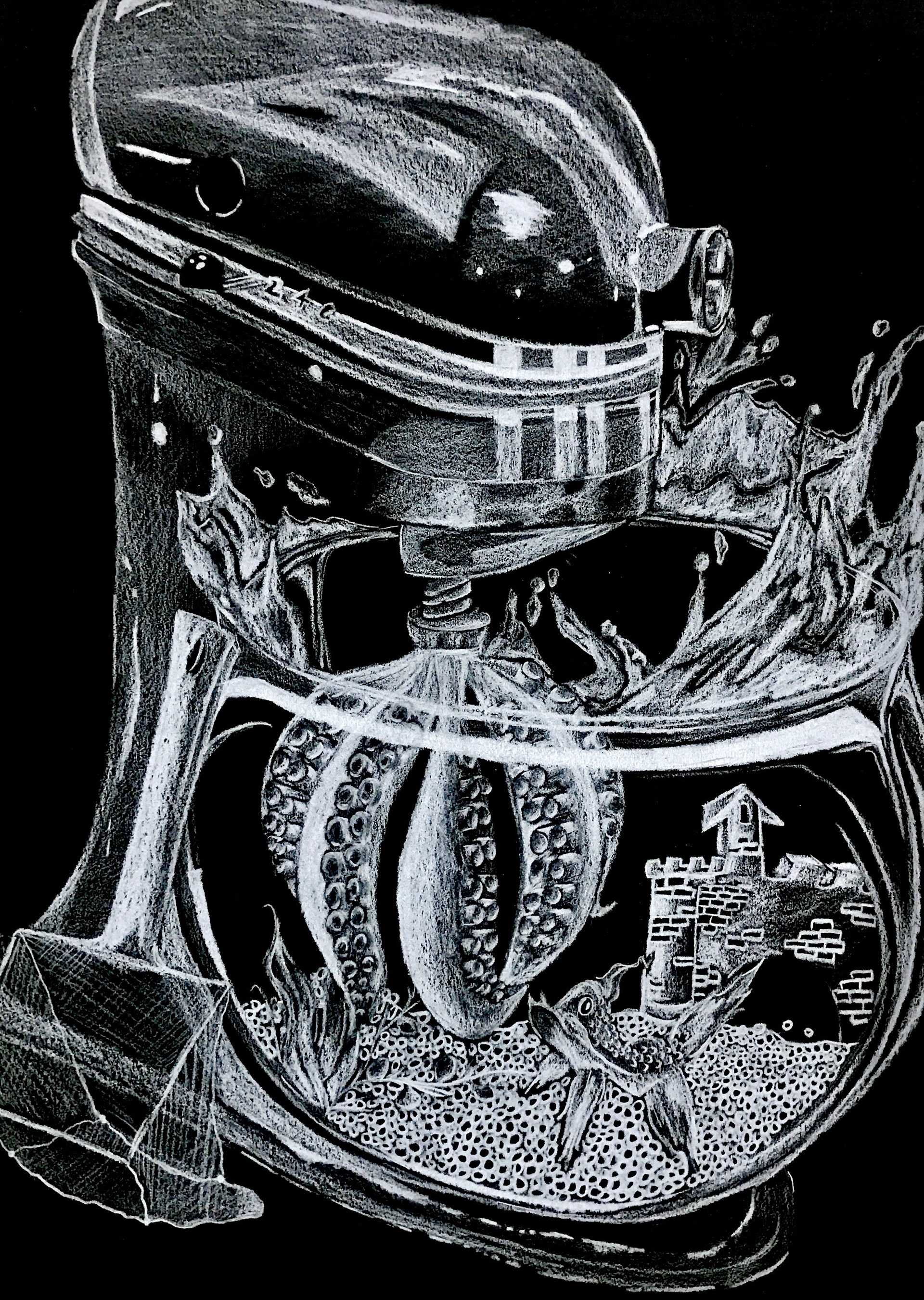 Fish Bowl Kitchen-Aid