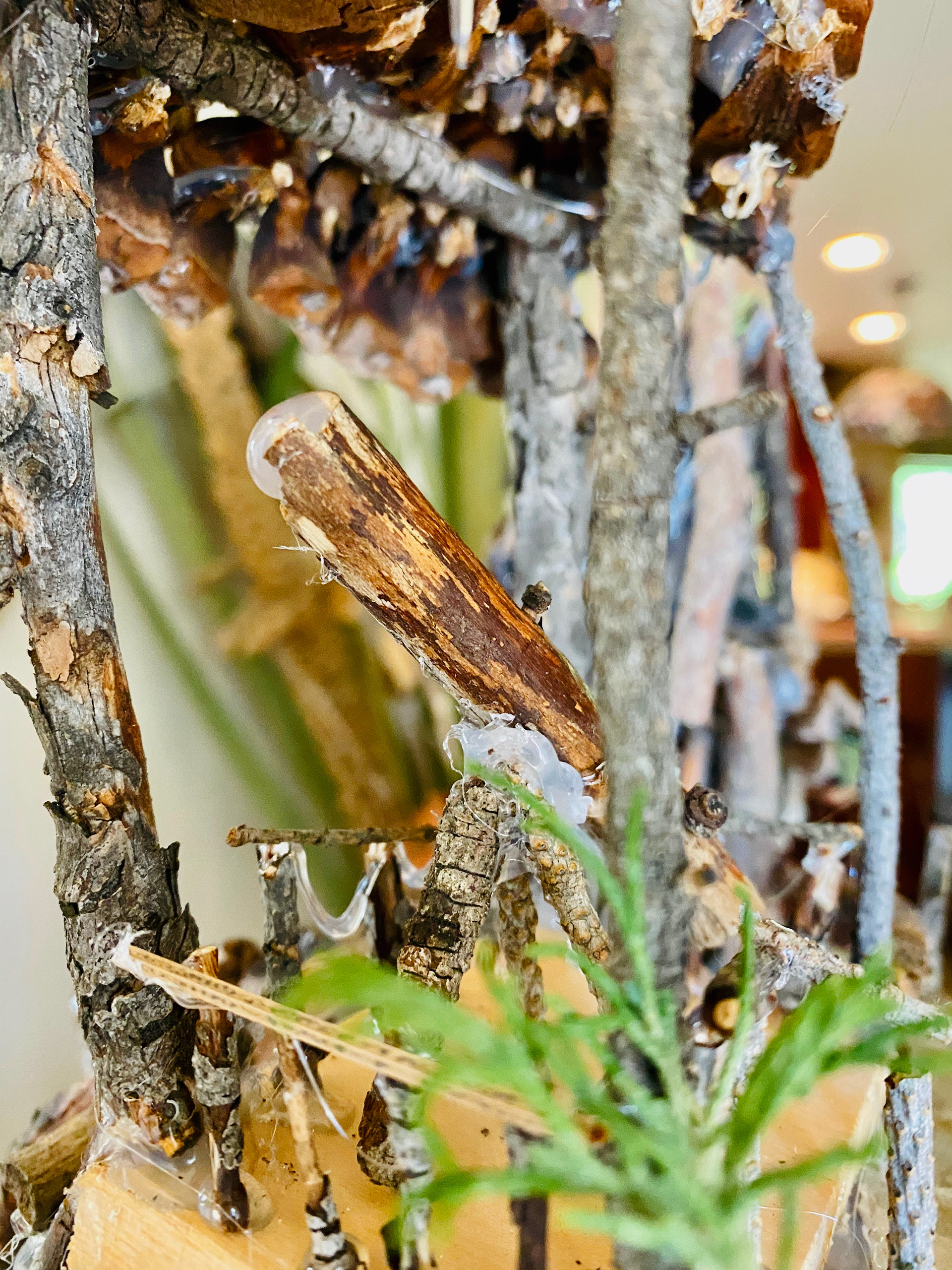 Telescope Watch Tower