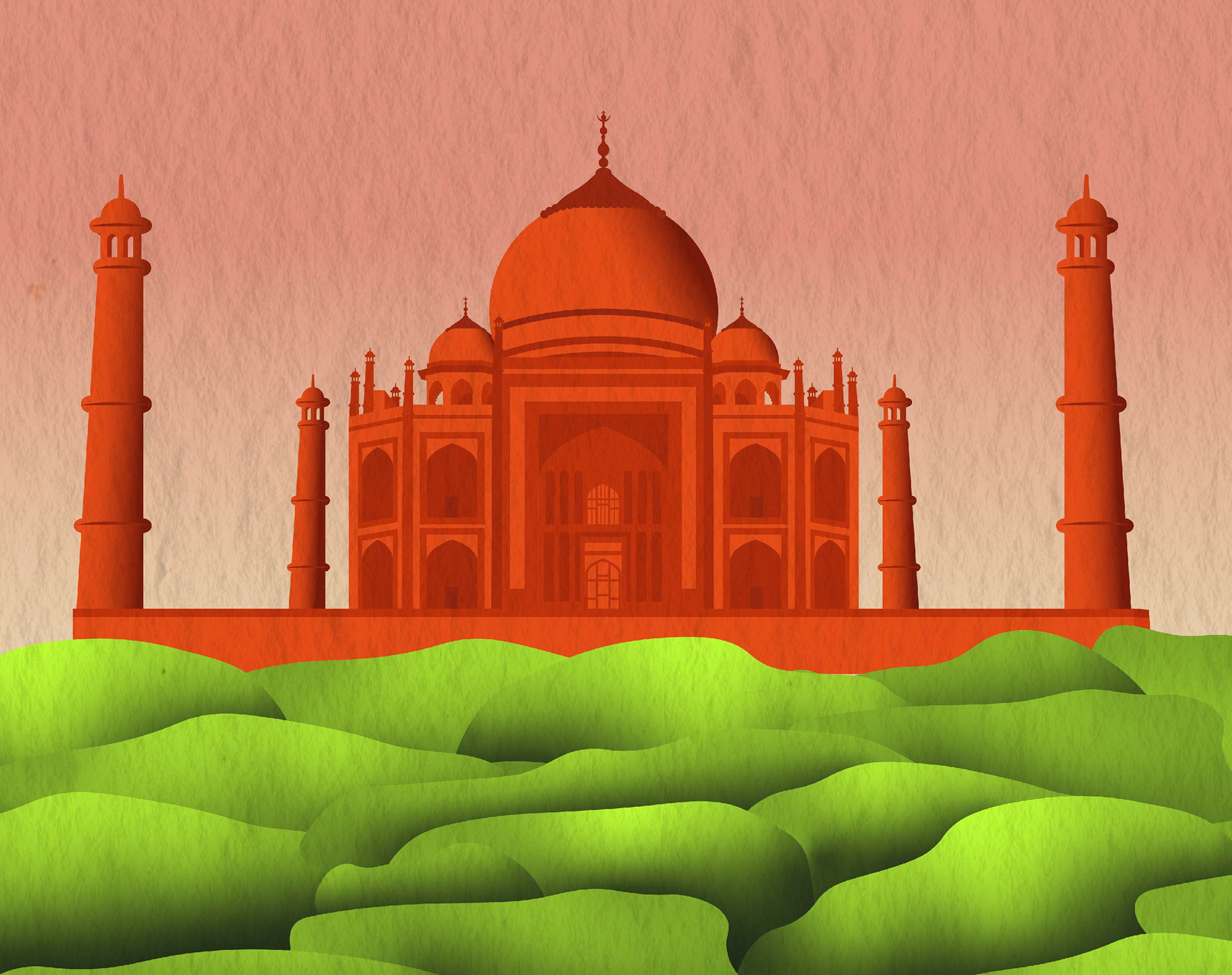 Illustration vectorielle - Ashwagandha
