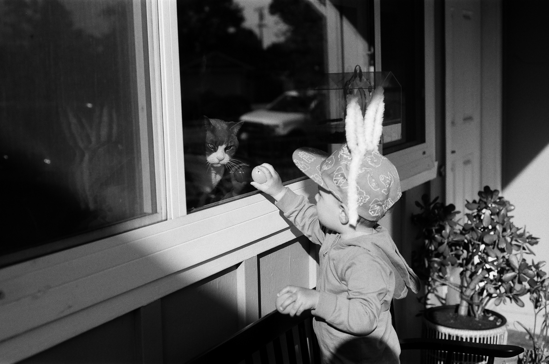 Sharing is caring | Nikon FE2, 50mm/1.8, Ilford Delta 100