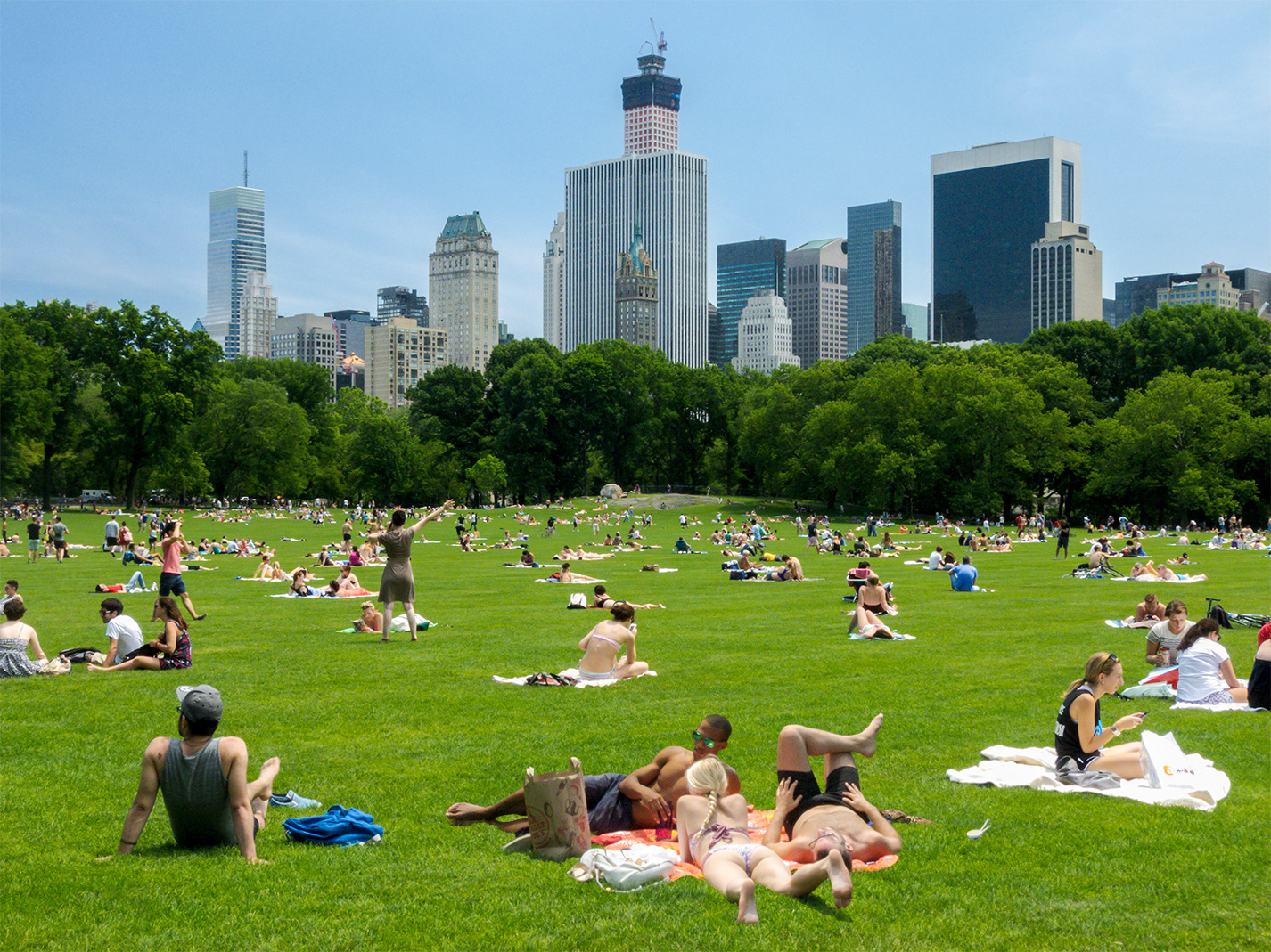 Central Park (Nueva York)