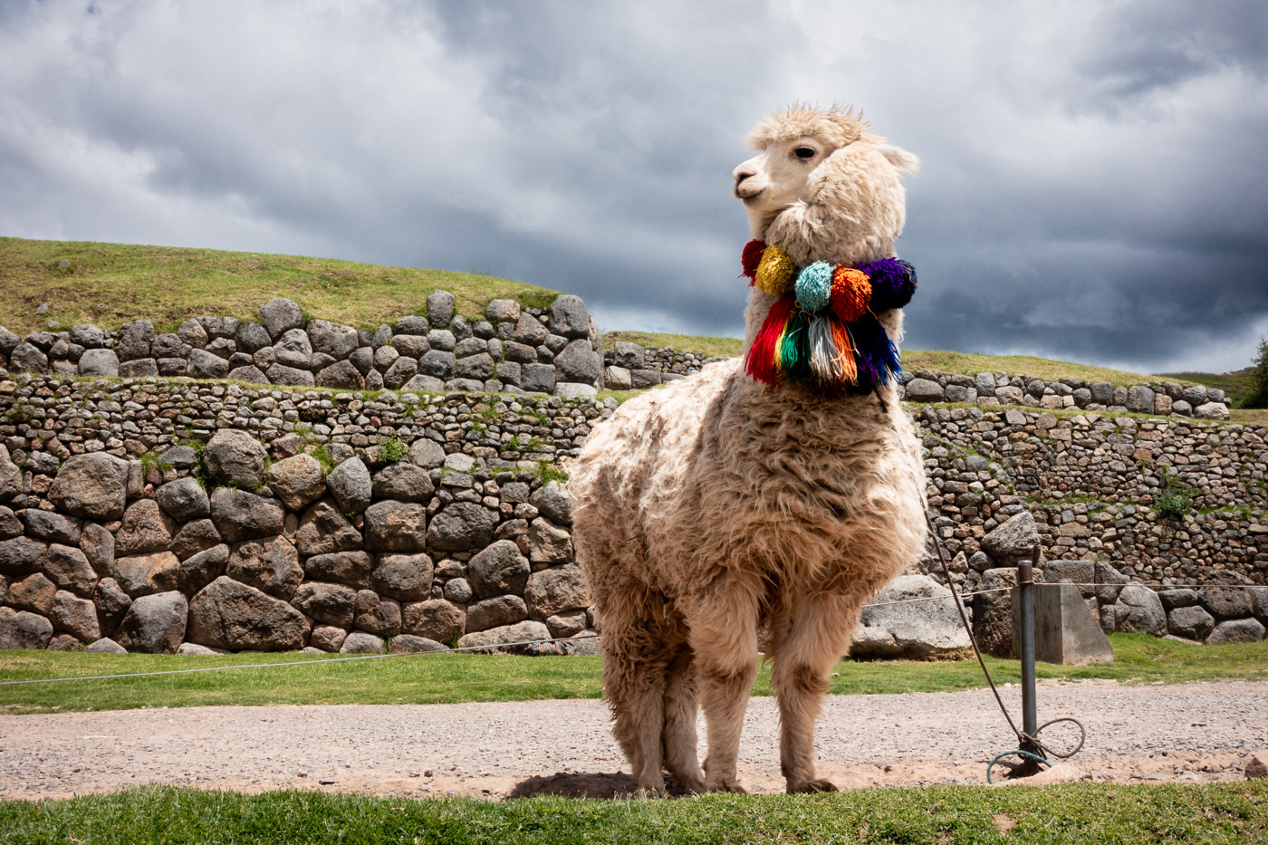 Saqsaywaman (Cuzco)