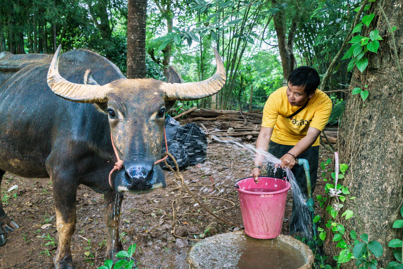 CHIAN RAI (Tailandia)