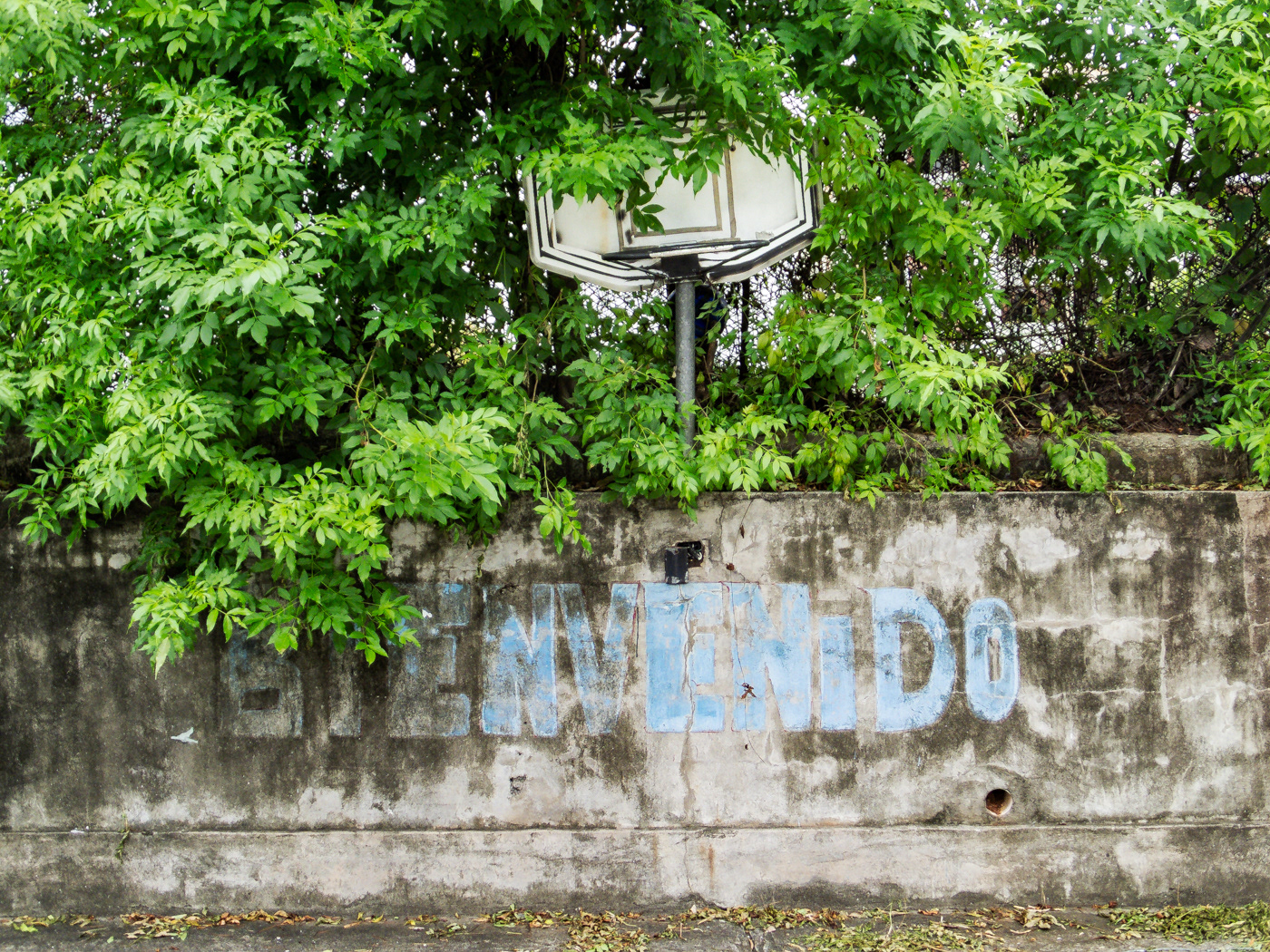 Casco Viejo (Ciudad de Panamá)