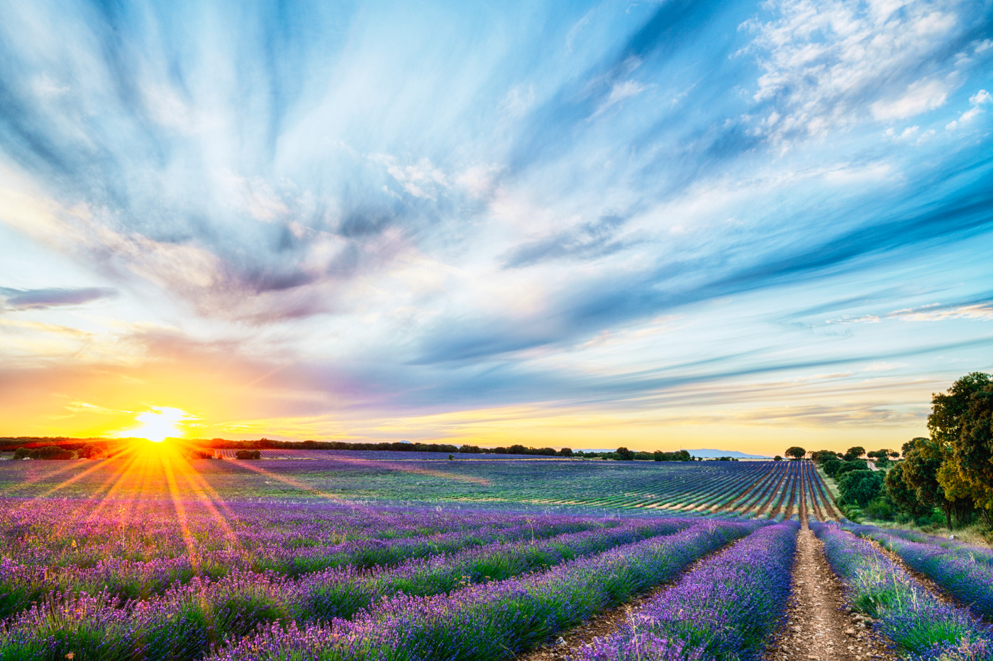 Brihuega (Guadalajara)