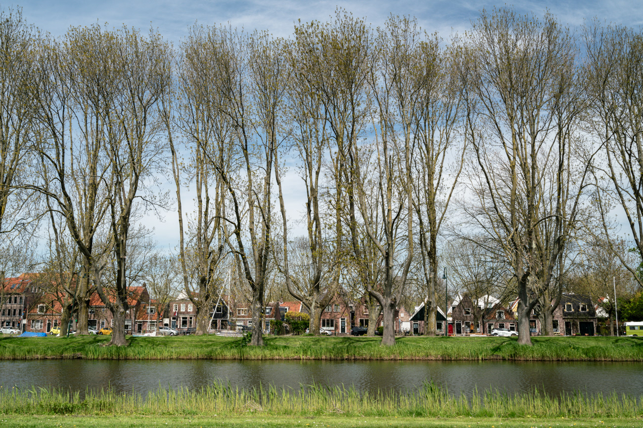 Edam