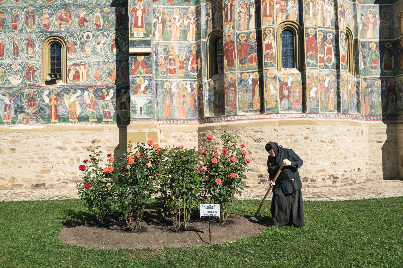 Monasterio de Moldovita (Marginea)