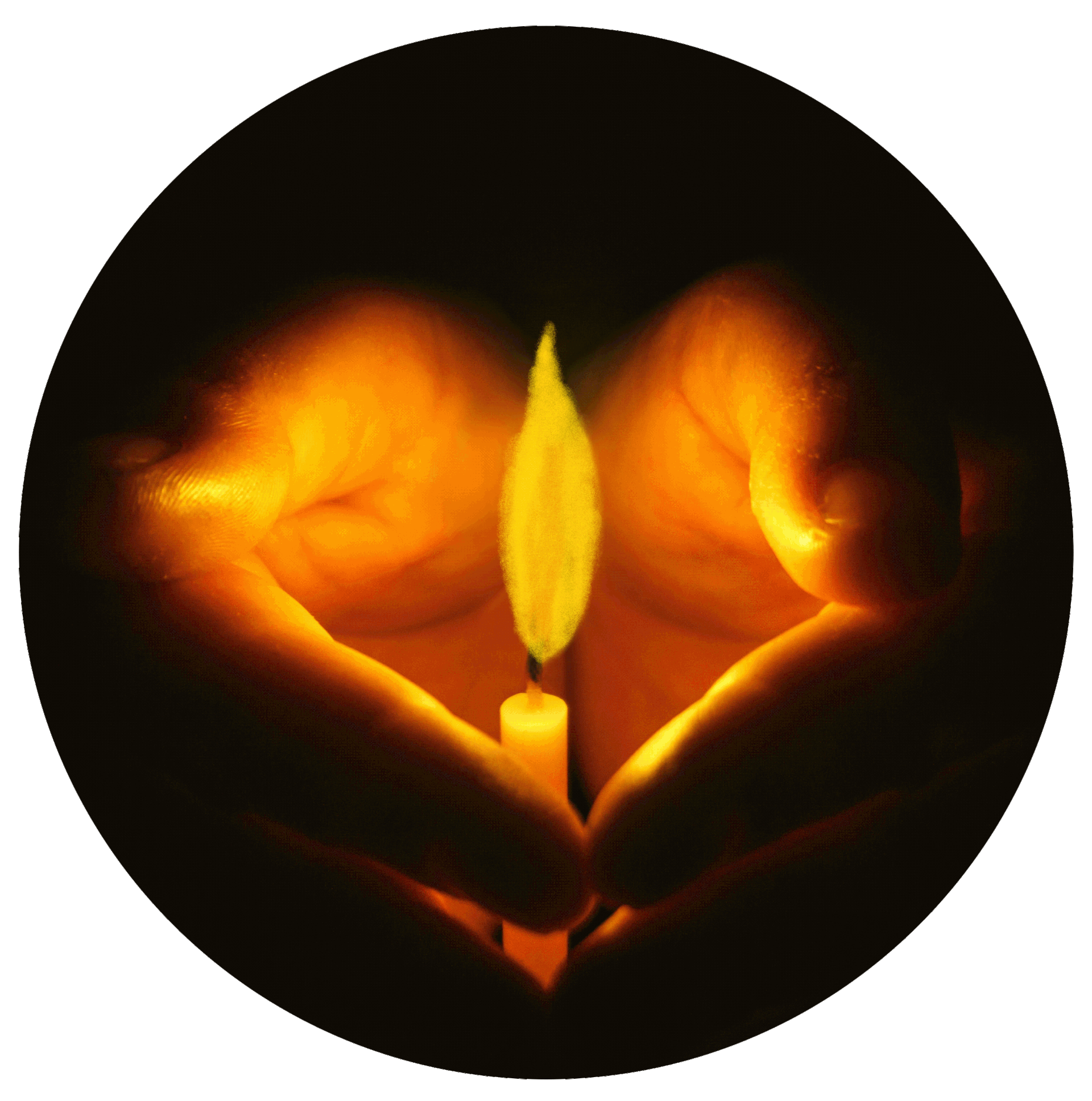 This GIF is always burning. It marks the Vigil and its donation count.