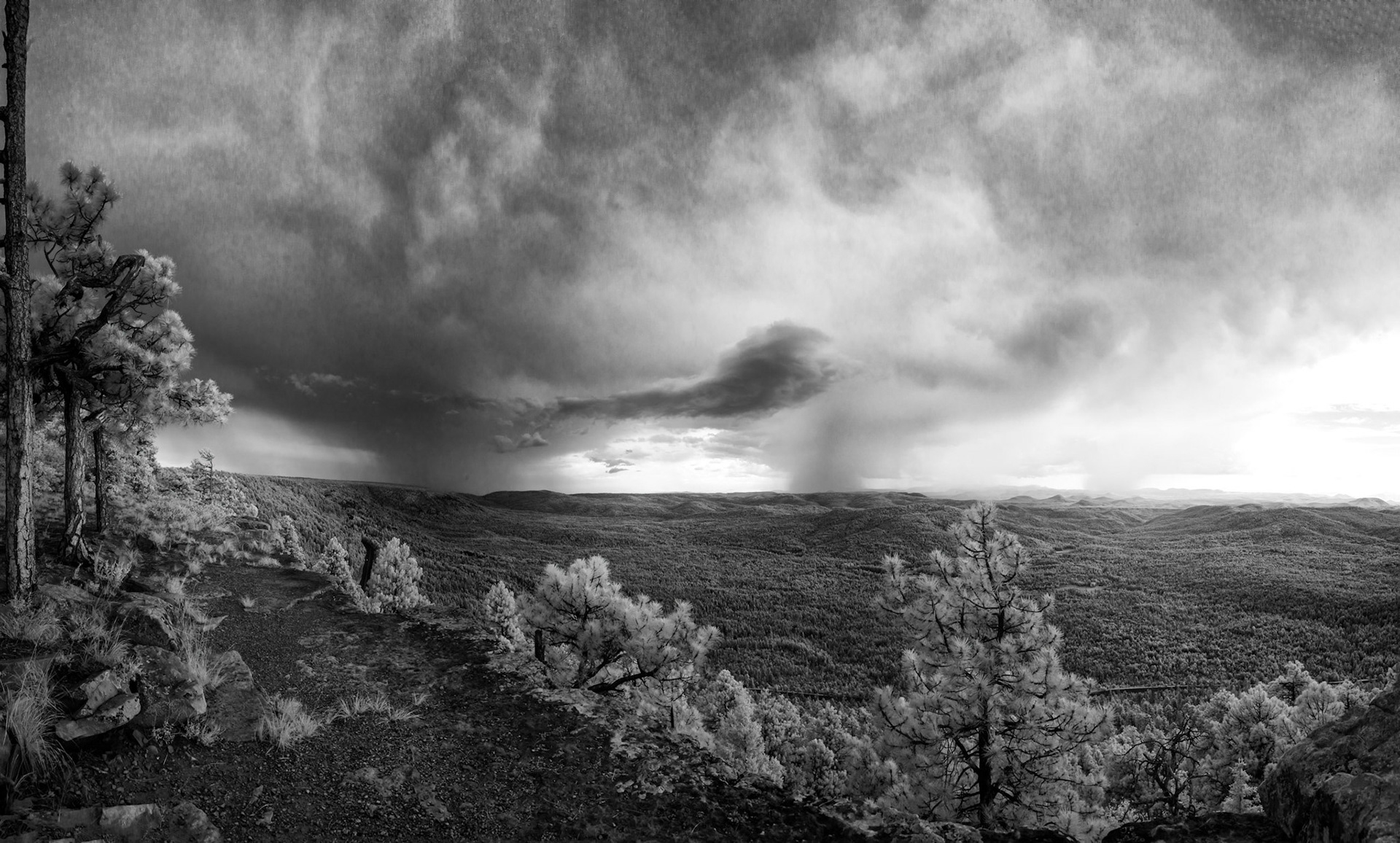 Mogollon Rim, Arizona