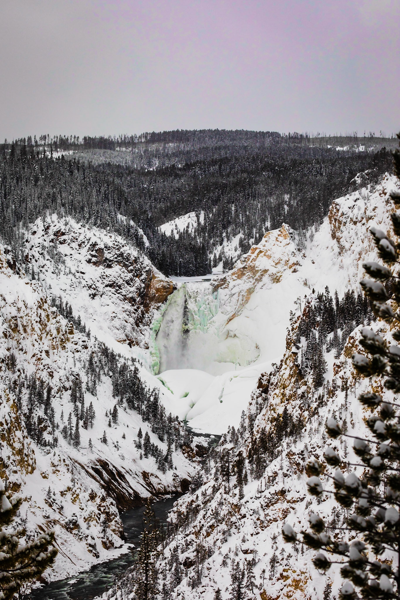 Lower Yellowstone Falls
