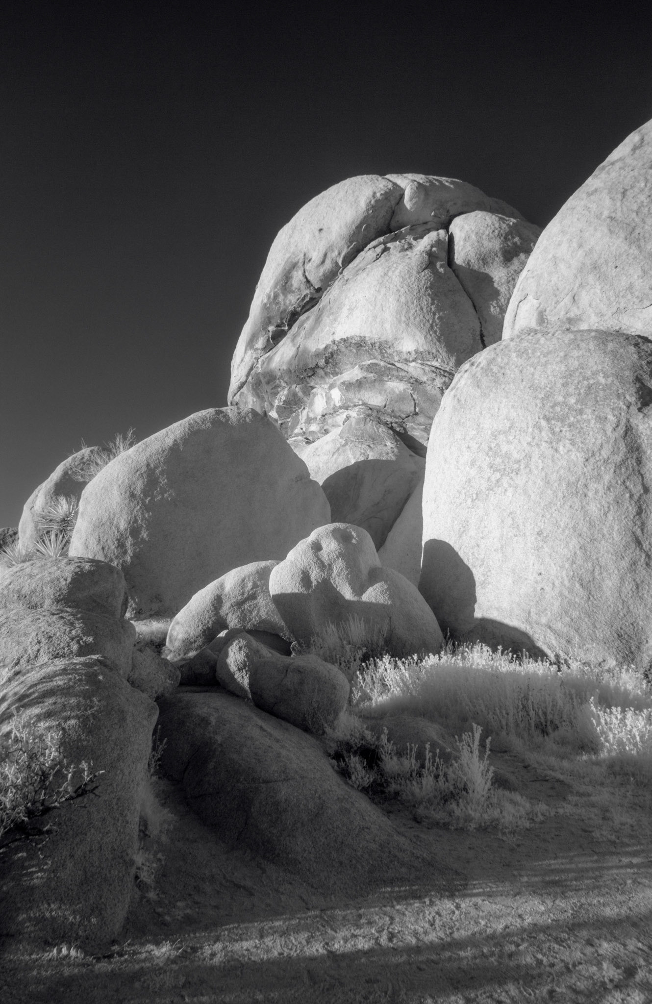 Beautiful rock tonality in the afternoon infrared light in Joshua tree National Park.