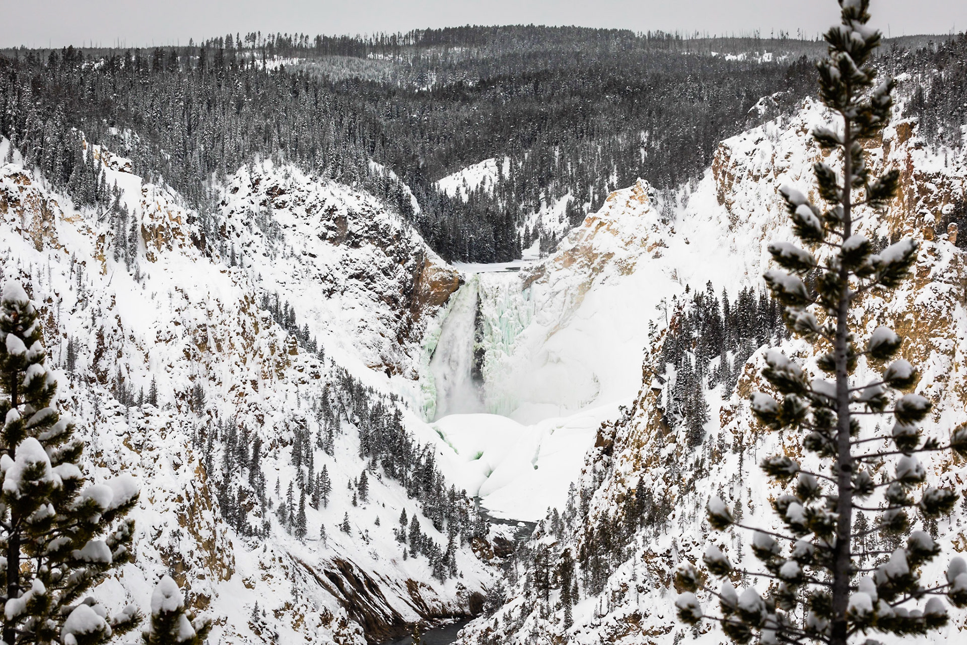 Lower Yellowstone Falls