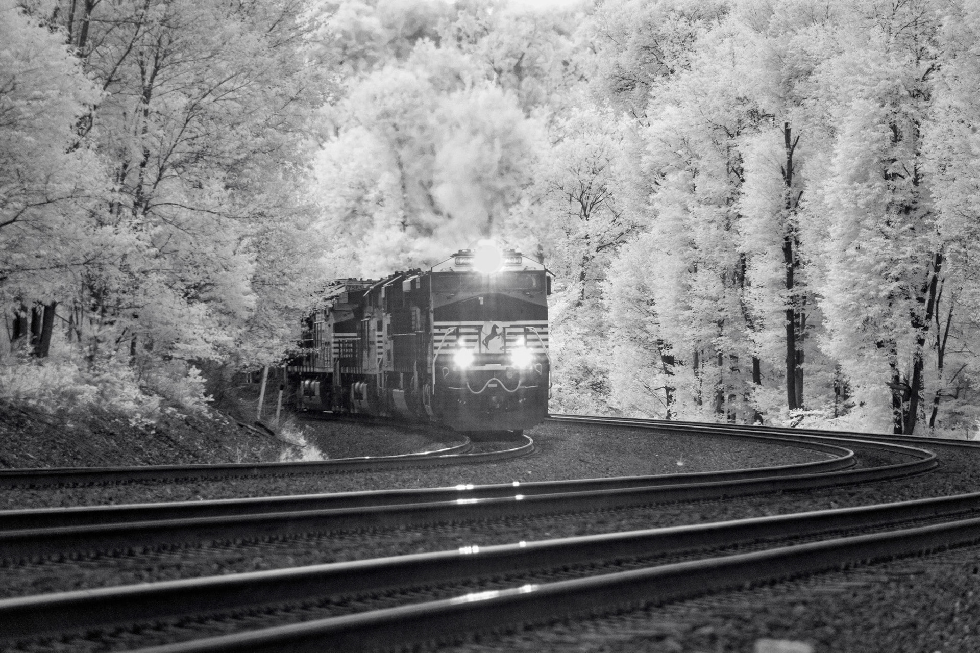 Cassandra, PA