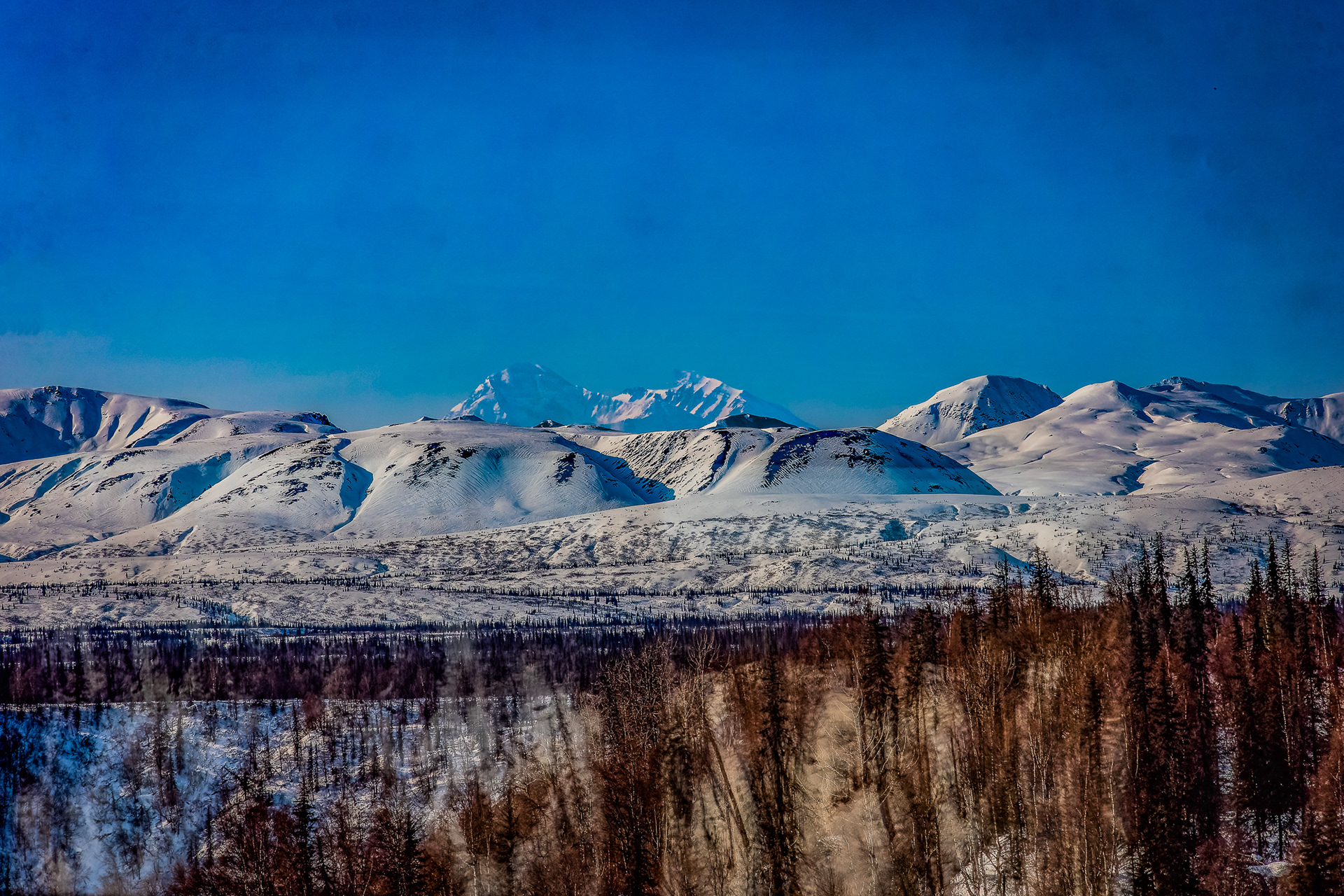 Mt. Denali from Alaska Railroad