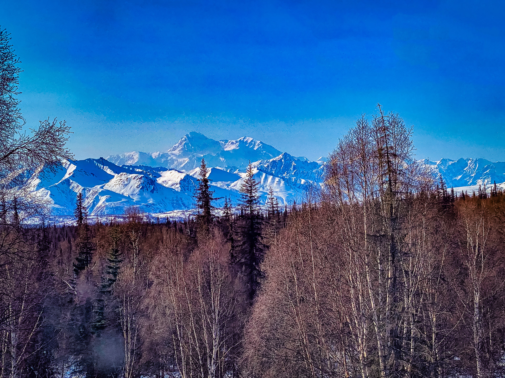 Mt. Denali from Alaska Railroad