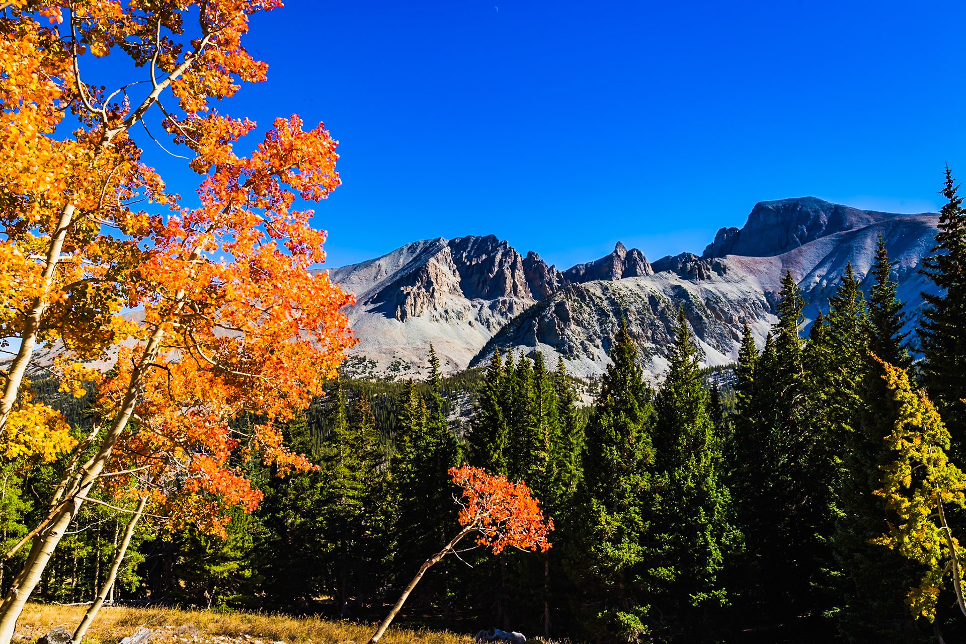 Great. Basin National Park, Nevada