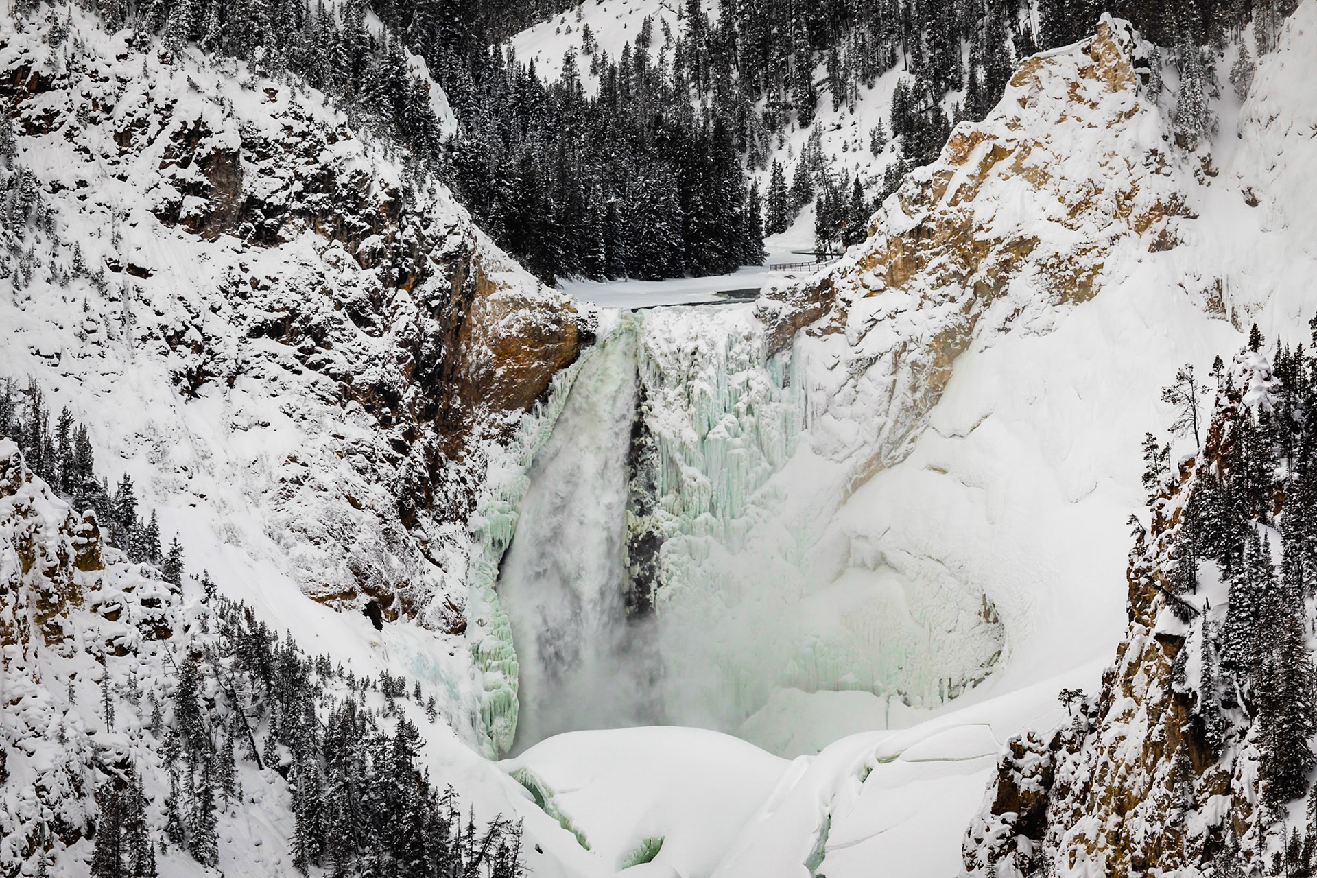 Lower Yellowstone Falls