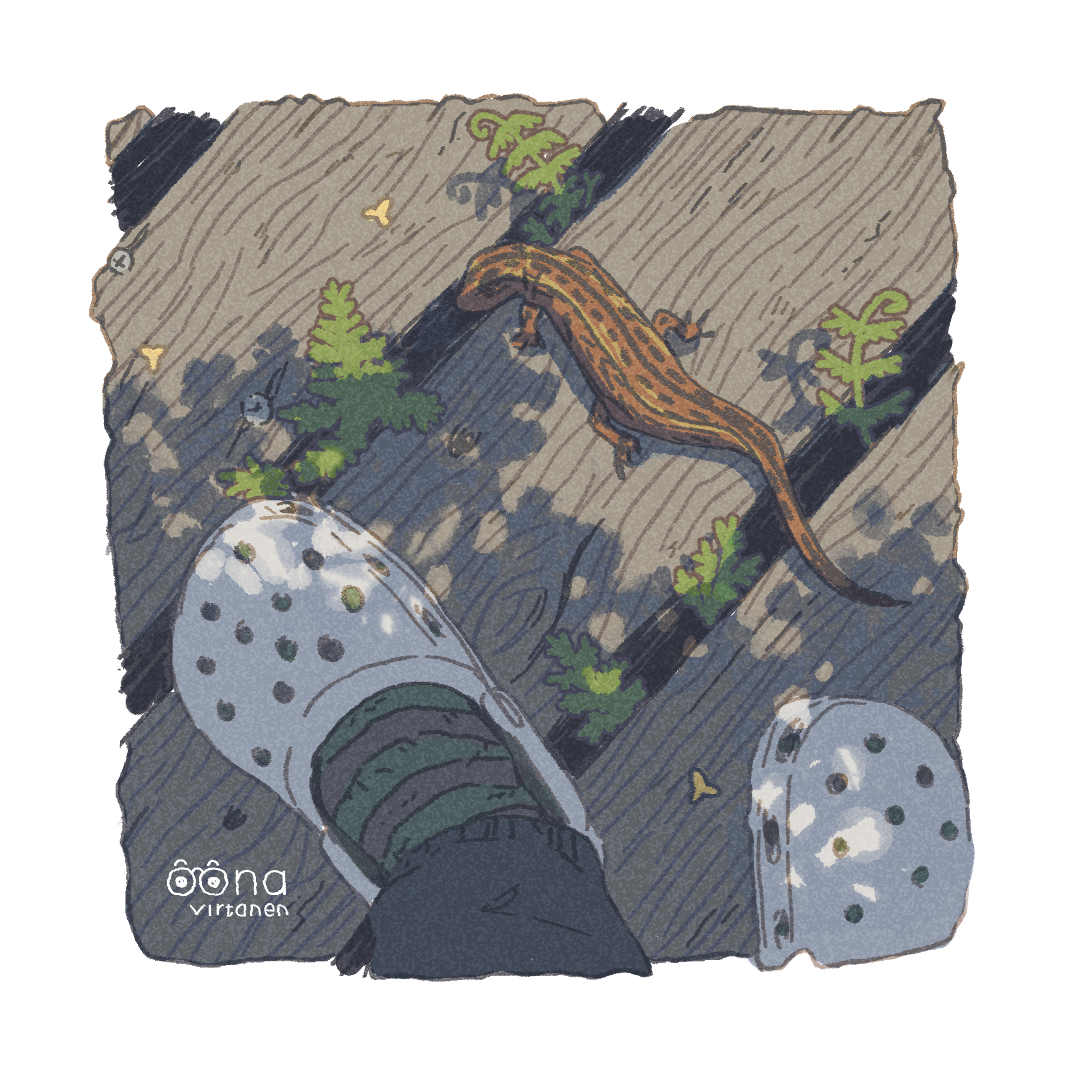 Lizard