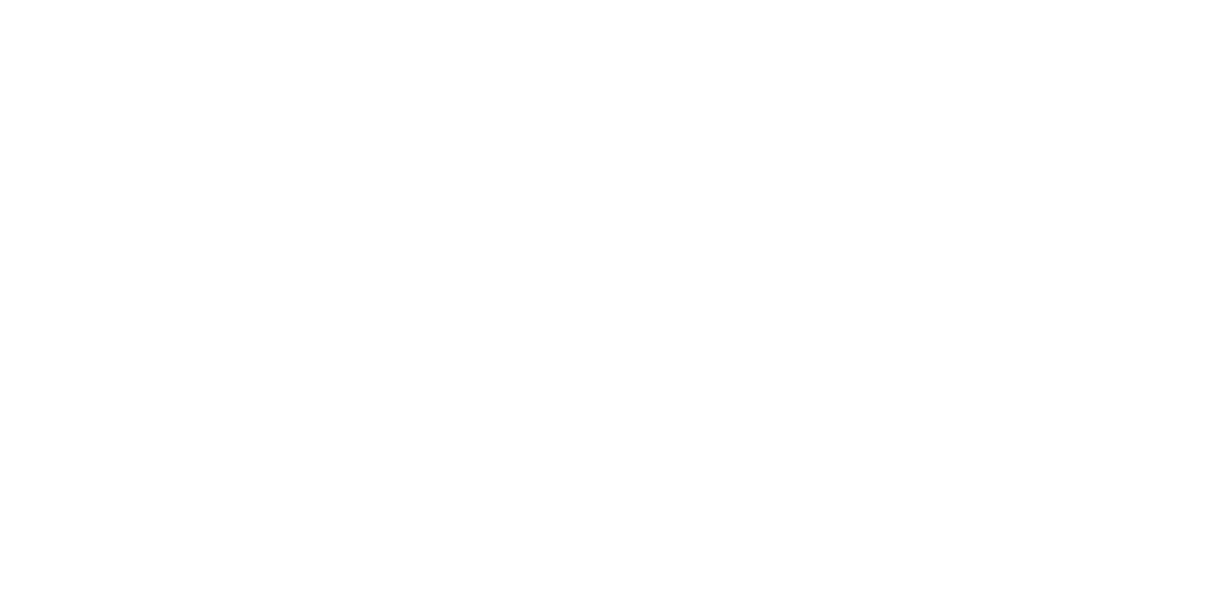 John Fan