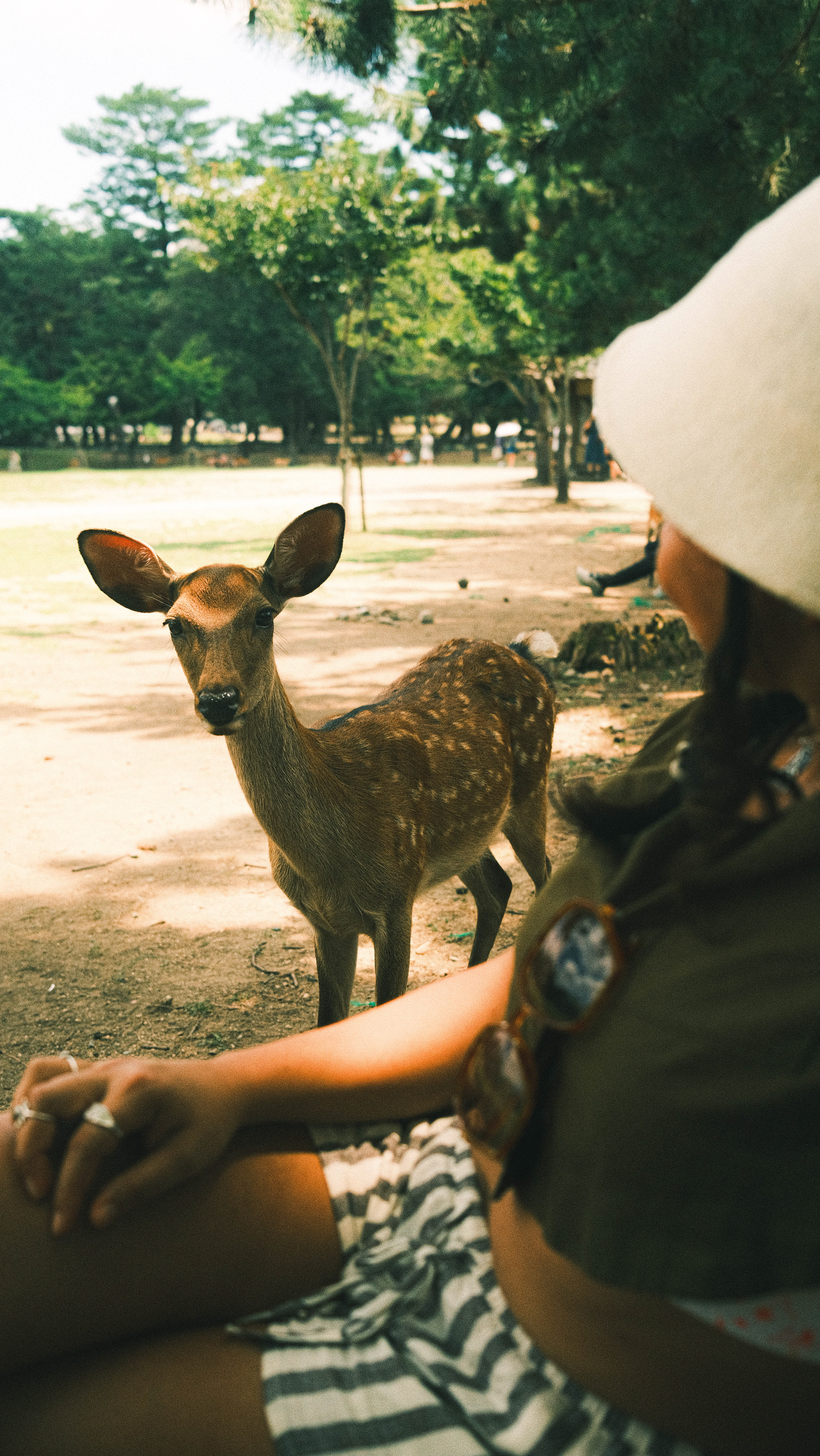 Nara, Japon