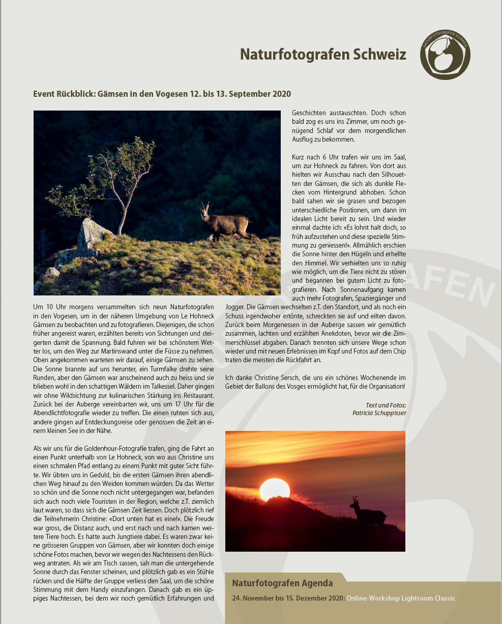 Natura Helvetica Dezember 2020, Event-Rückblick