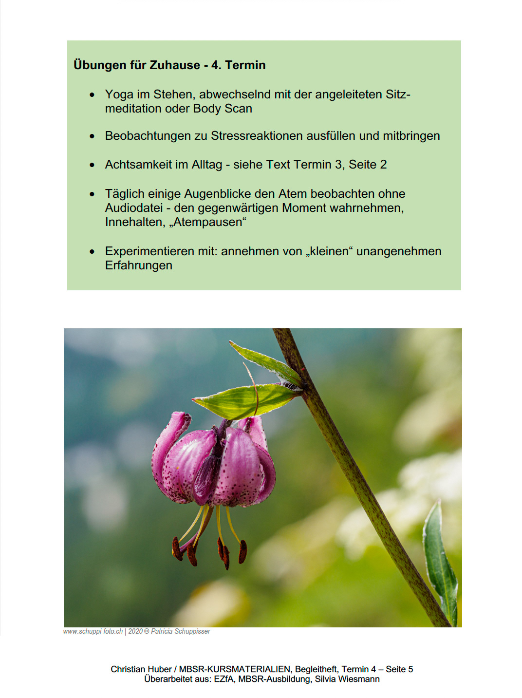 Teil-Illustration Kursunterlagen Achtsamkeitsbasierte Stressbewältigung