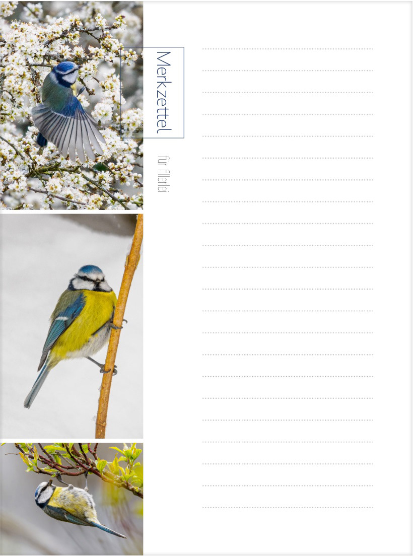 Merkzettelblock Blaumeise