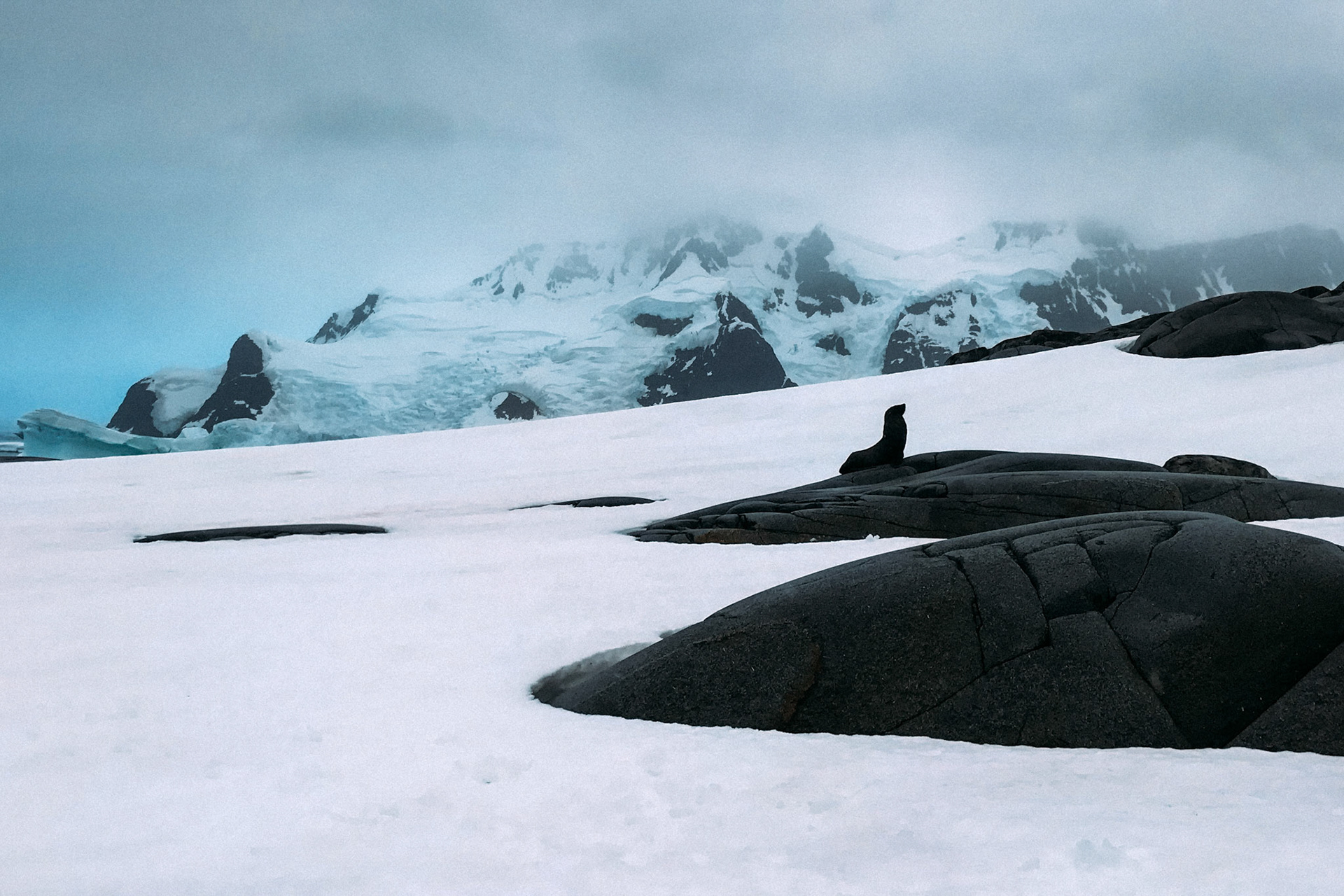 500px Photo ID: 201554979 -