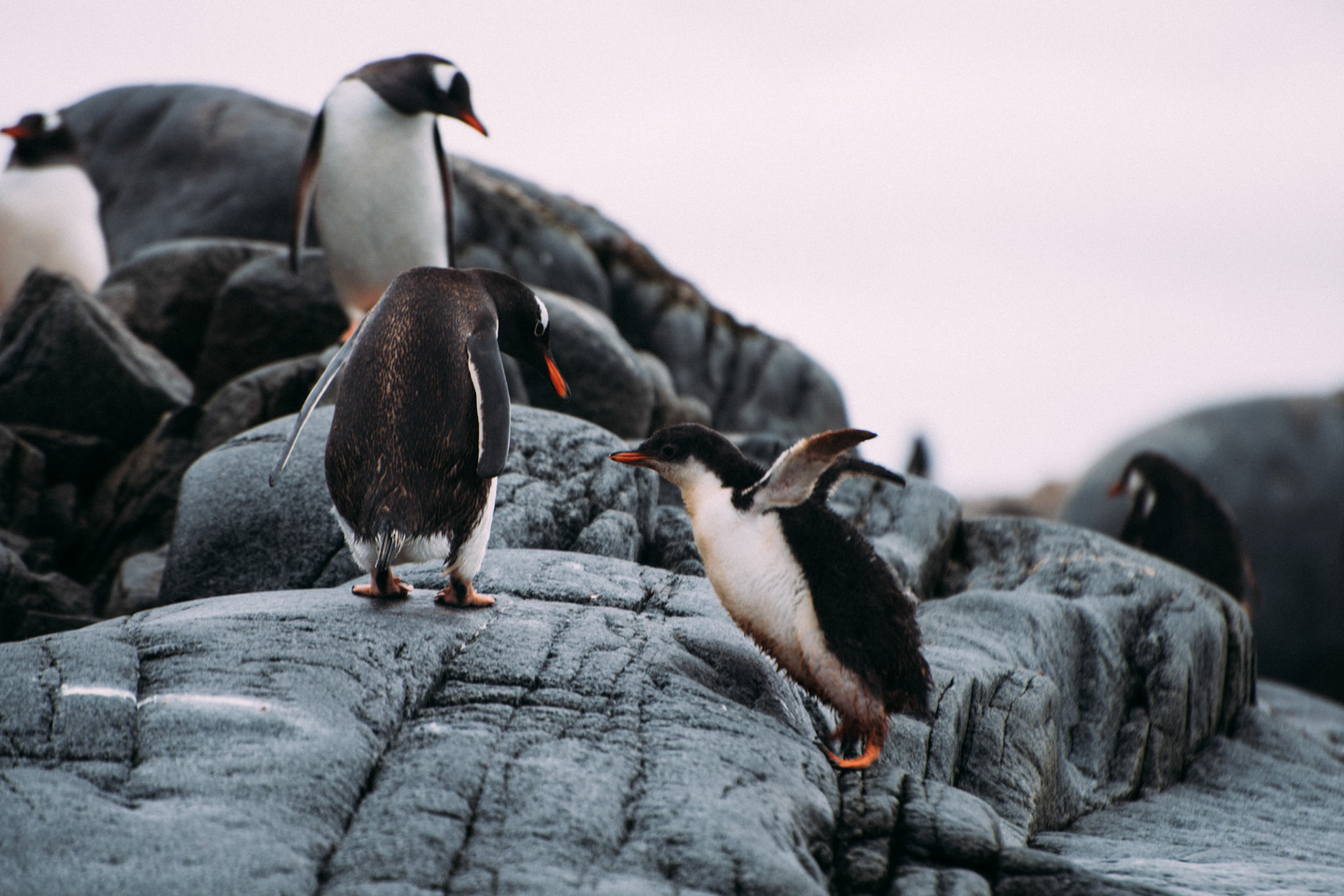 500px Photo ID: 201536951 -