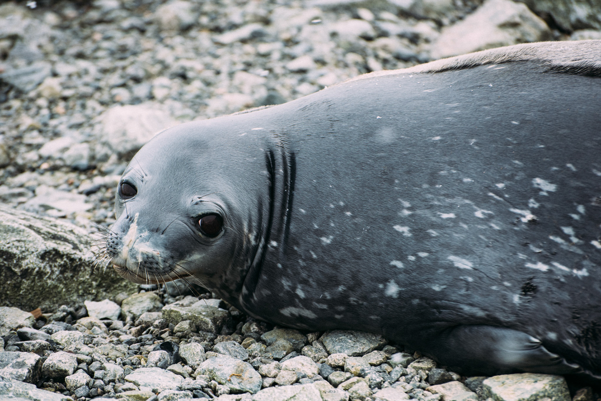 500px Photo ID: 201698889 -