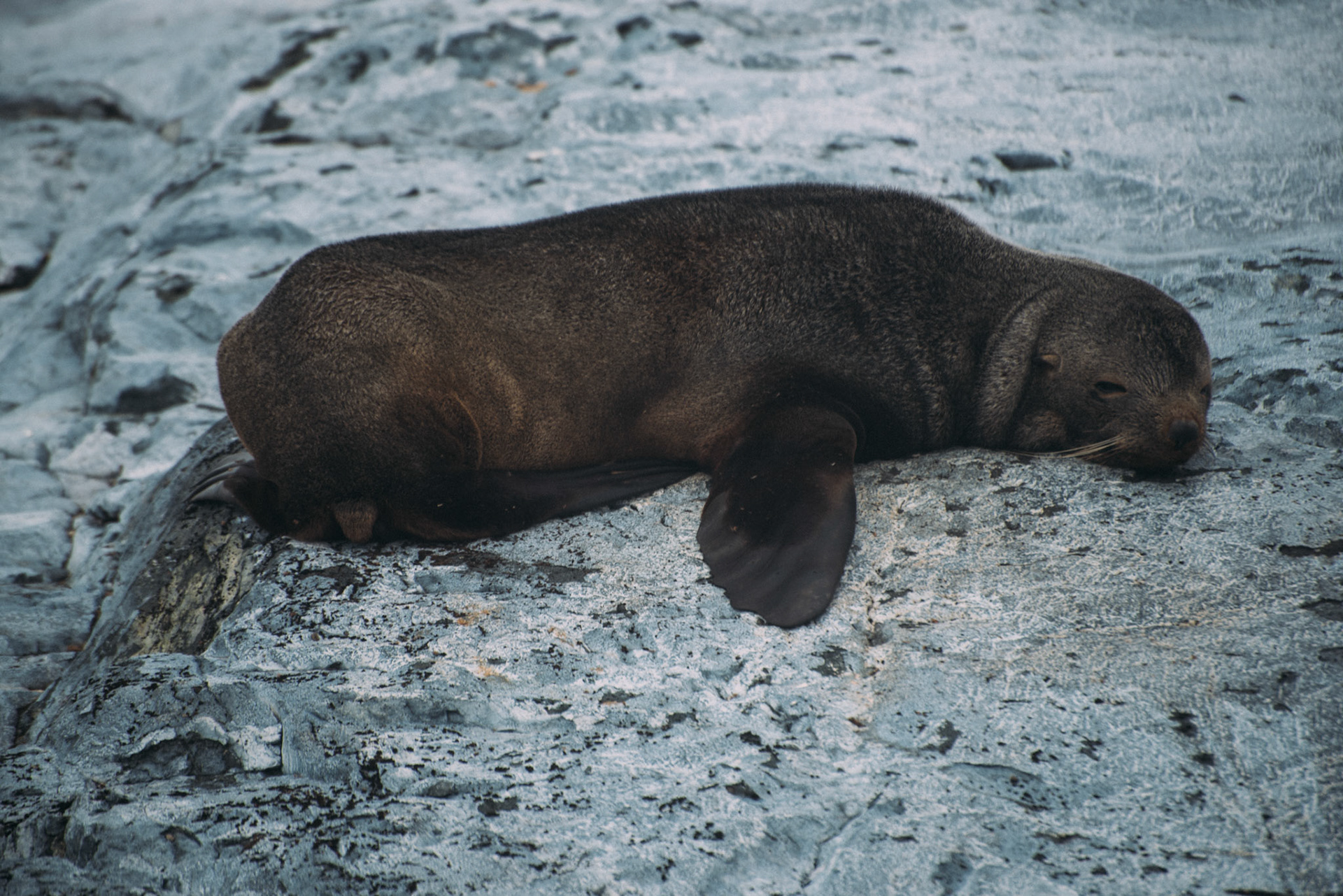 500px Photo ID: 201587037 -