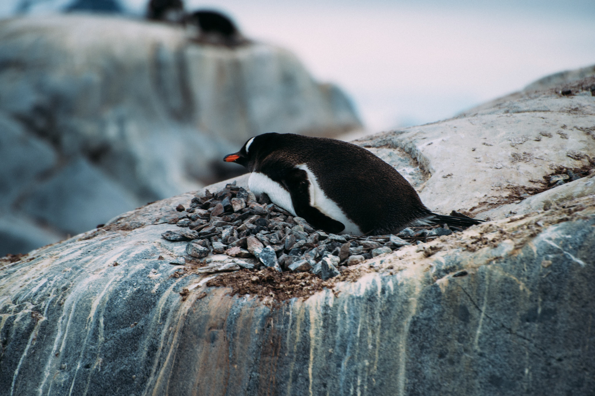 500px Photo ID: 201590521 -