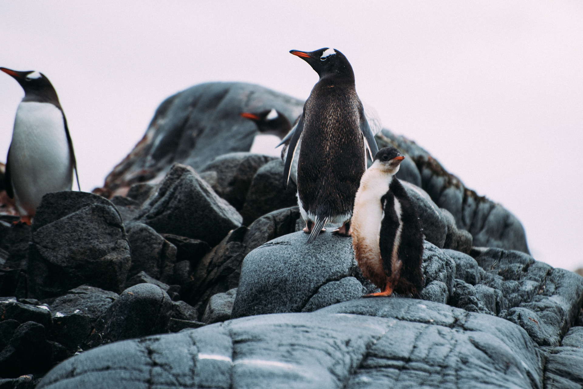 500px Photo ID: 201539813 -