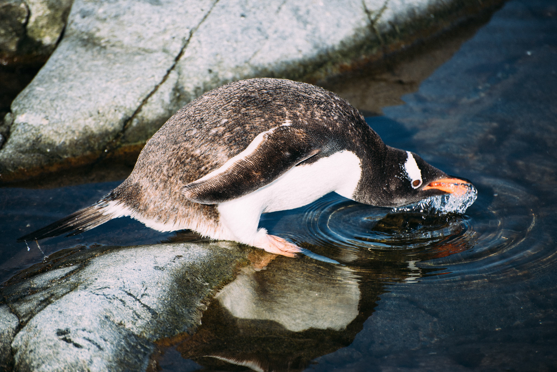 500px Photo ID: 201616659 -